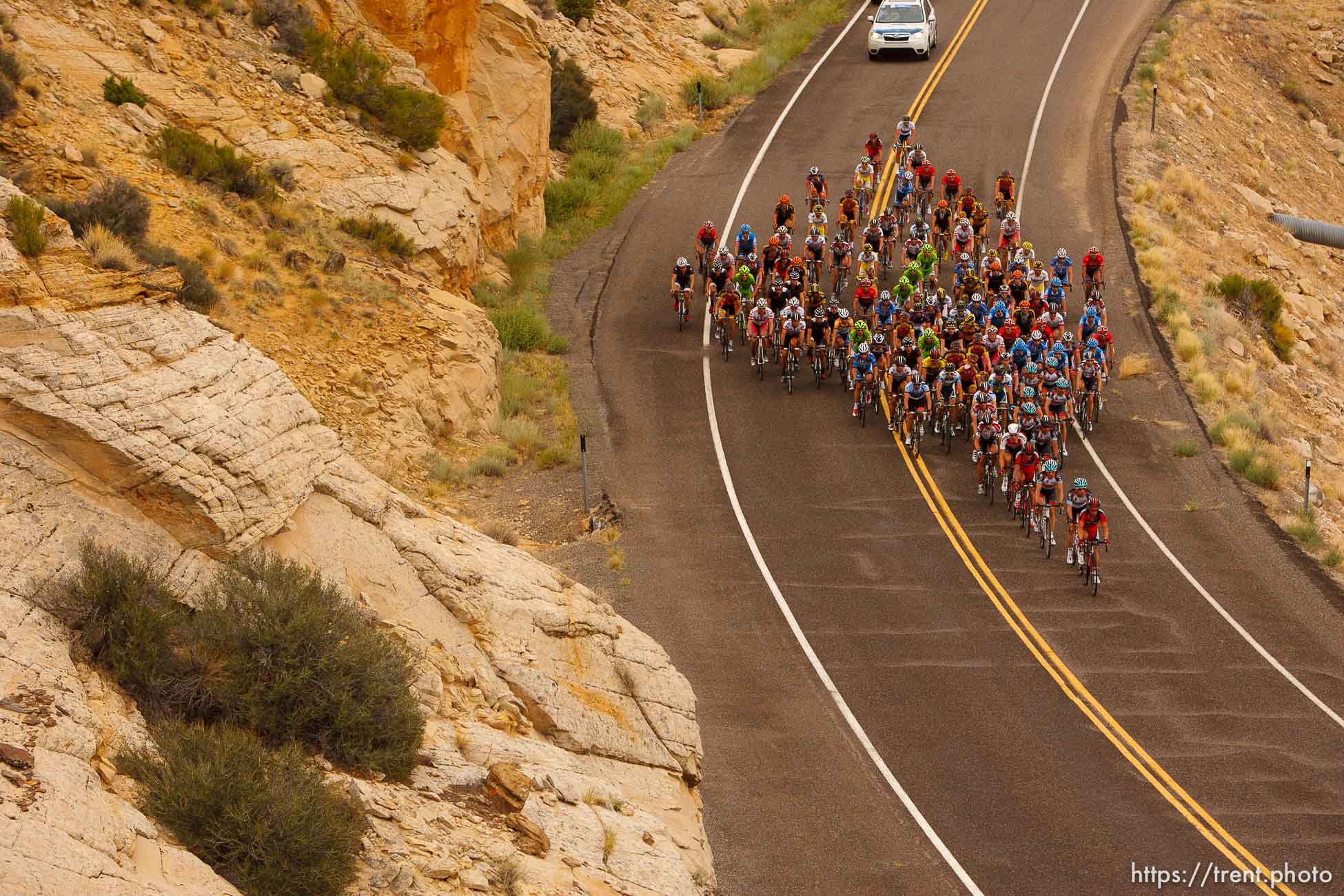 Trent Nelson  |  The Salt Lake Tribune
The peloton between Escalante and Boulder, during stage two of the Tour of Utah Wednesday August 7, 2013.