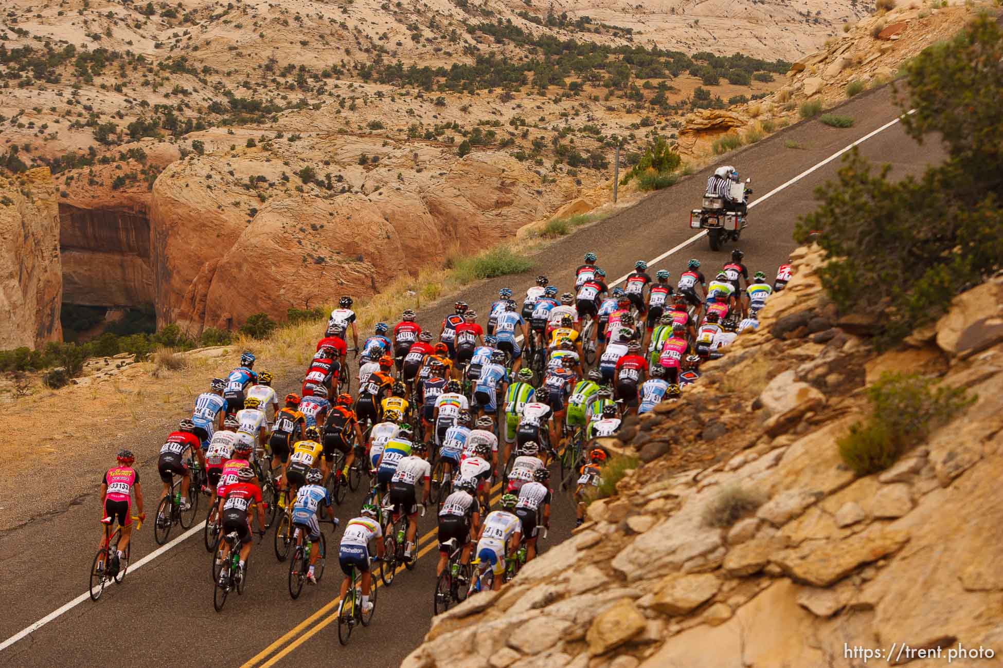 Trent Nelson  |  The Salt Lake Tribune
The peloton between Escalante and Boulder, during stage two of the Tour of Utah Wednesday August 7, 2013.