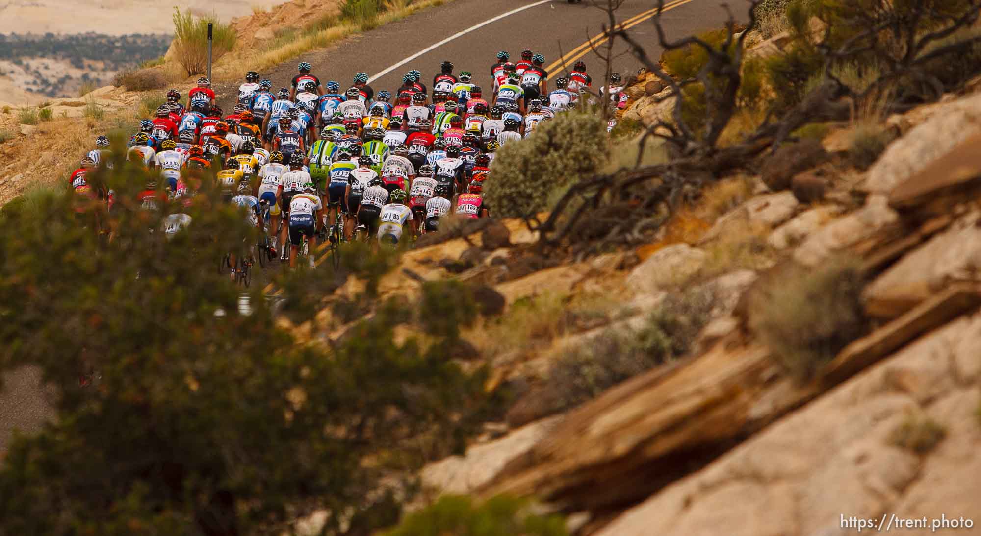 Trent Nelson  |  The Salt Lake Tribune
The peloton between Escalante and Boulder, during stage two of the Tour of Utah Wednesday August 7, 2013.