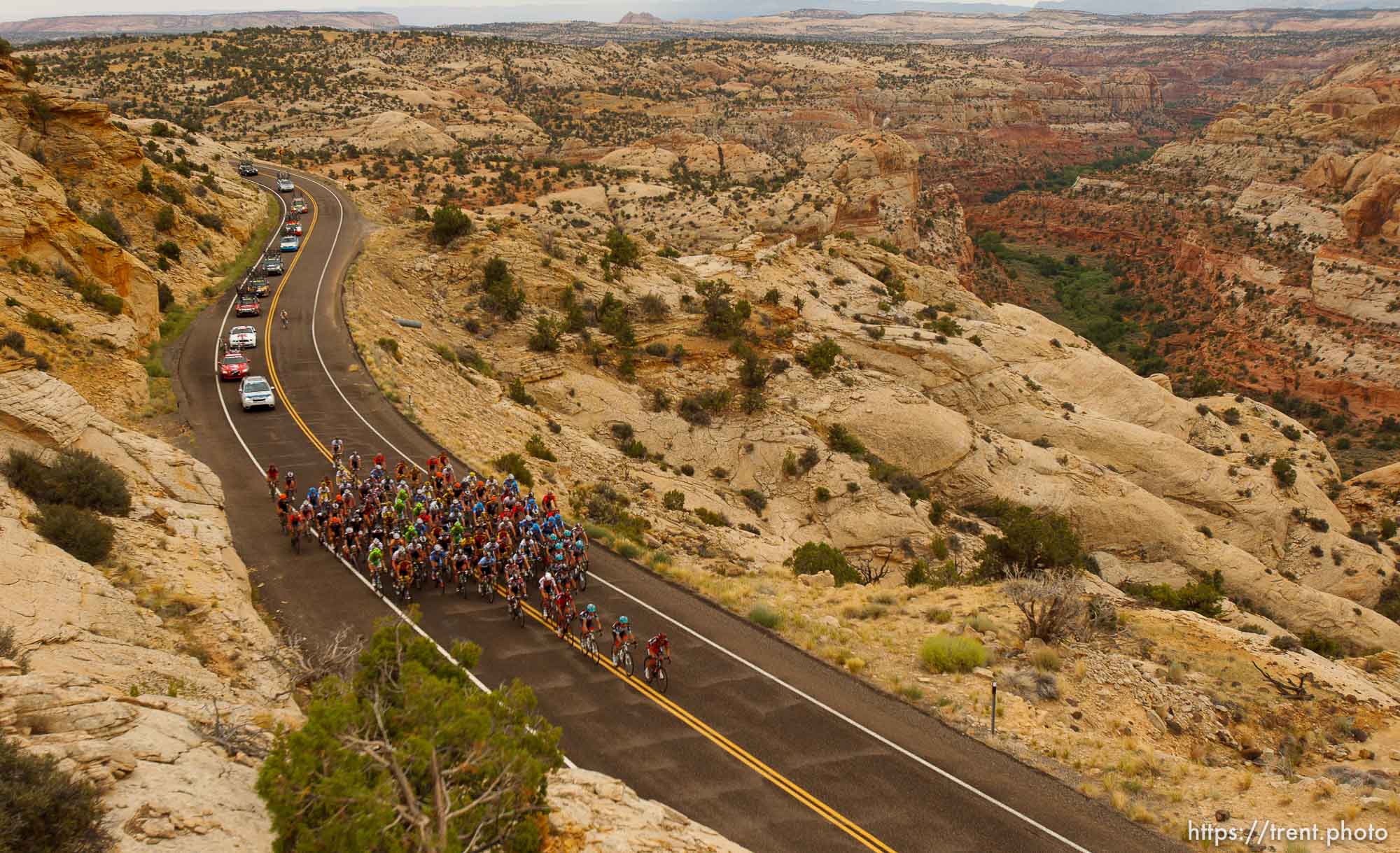 Trent Nelson  |  The Salt Lake Tribune
The peloton climbs toward Boulder during stage two of the Tour of Utah Wednesday August 7, 2013.