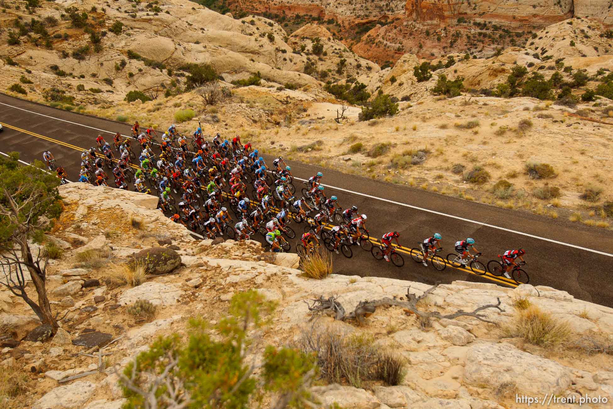 Trent Nelson  |  The Salt Lake Tribune
The peloton climbs toward Boulder during stage two of the Tour of Utah Wednesday August 7, 2013.