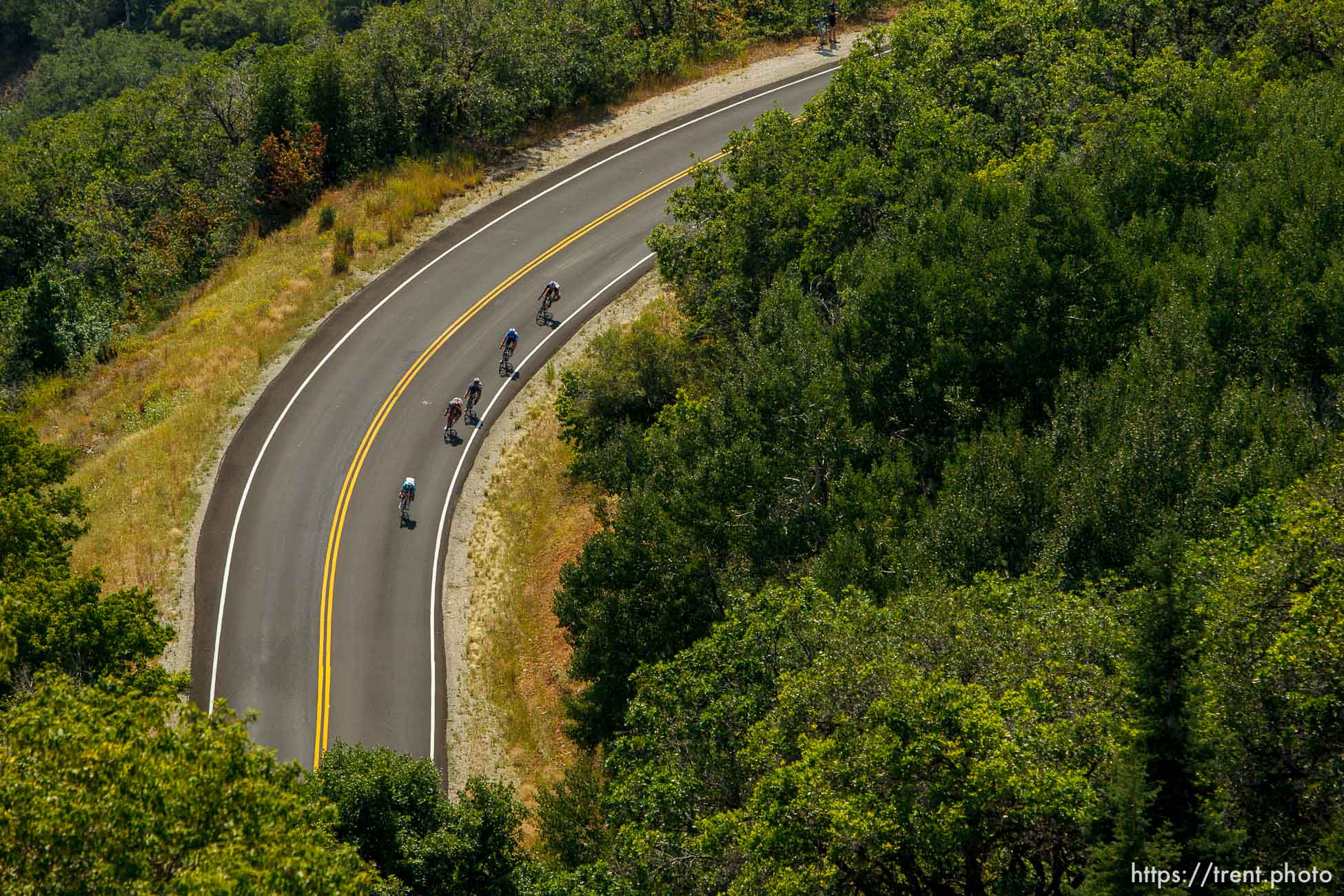 Trent Nelson  |  The Salt Lake Tribune
Riders descend into East Canyon during Stage 3 of the Tour of Utah at the top of East Canyon in Salt Lake City, Utah Thursday, August 9, 2012.