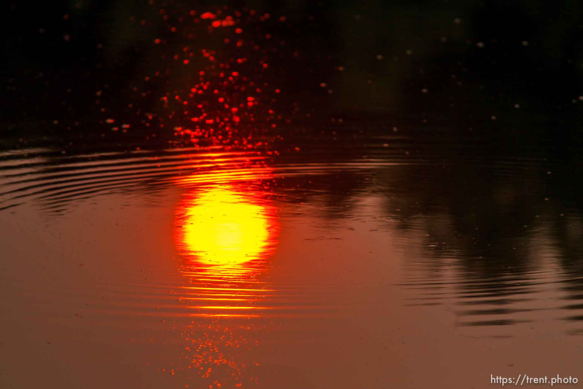 sunrise at Beaver Dick Park, Rexburg, Idaho Monday, August 13, 2012.