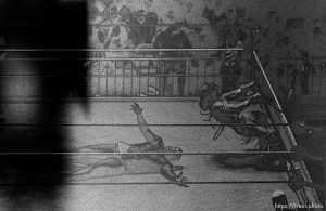 Ultimate Warrior vs. Kamala, WWF wrestling action. (solarized)