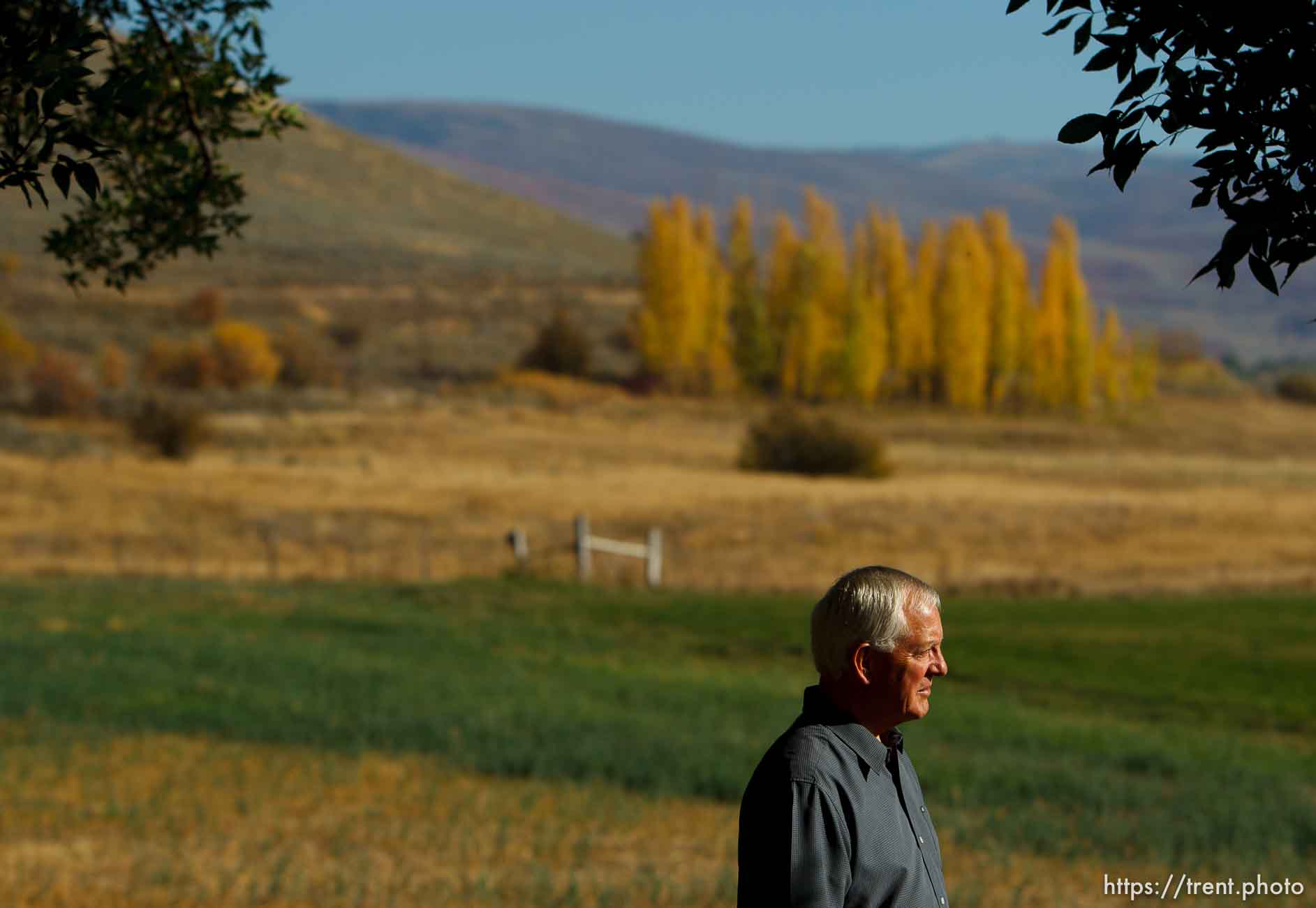 Trent Nelson  |  The Salt Lake Tribune
Retiring LDS Church historian Merlin Jensen Wednesday October 3, 2012 at his home in Huntsville, Utah.