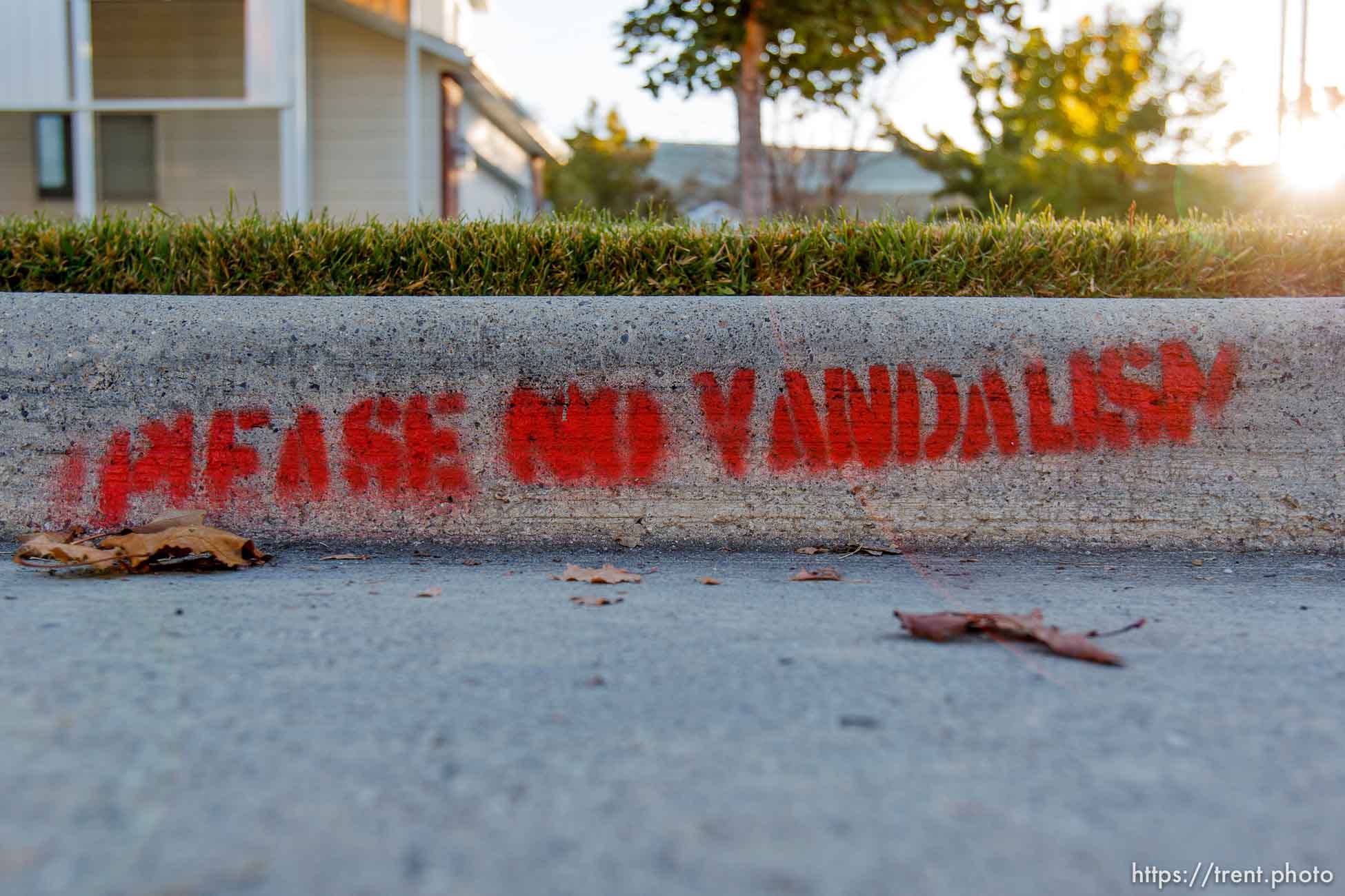 Please no Vandalism