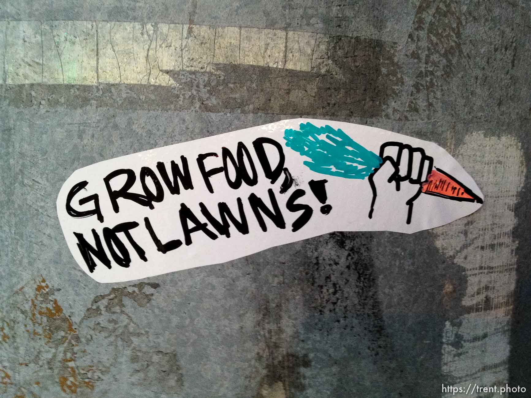 grow food, not lawns!