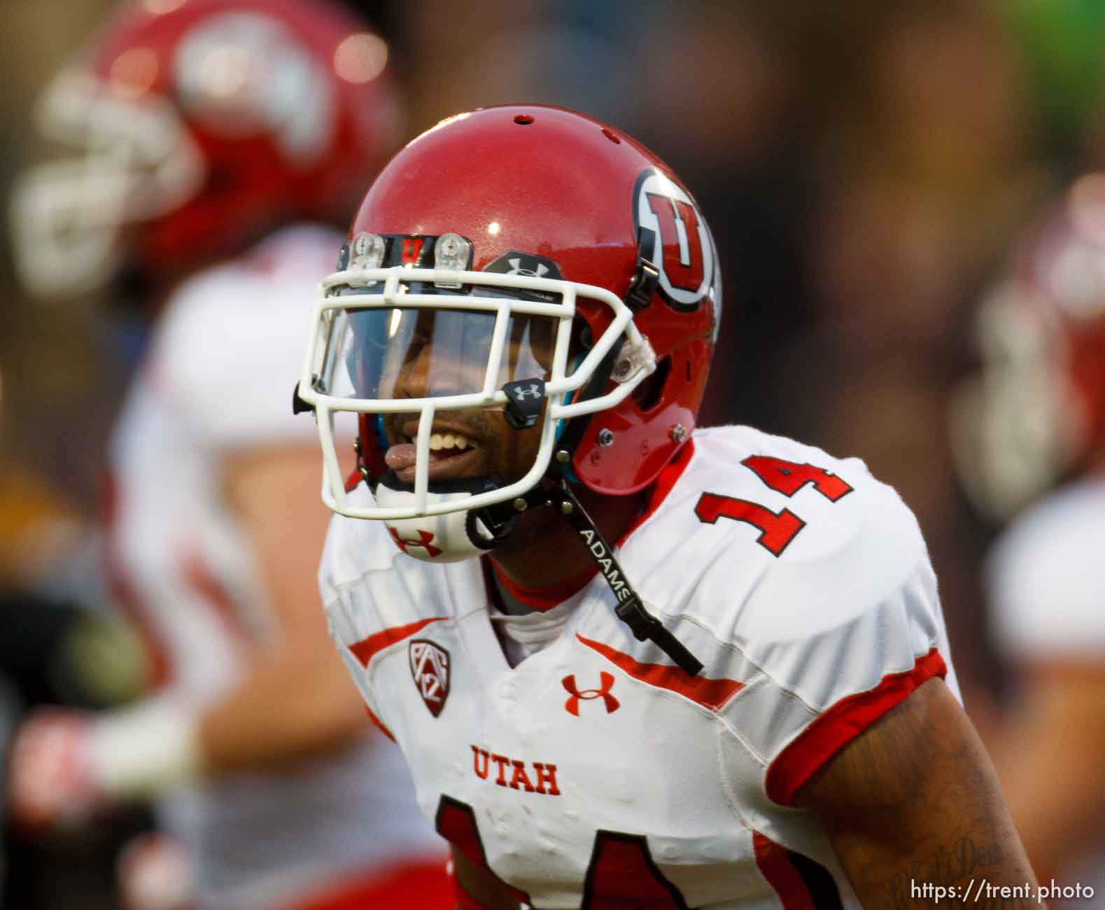 Trent Nelson  |  The Salt Lake Tribune
Utah Utes wide receiver Reggie Dunn (14) celebrates his touchdown in the fourth quarter as the Colorado Buffaloes host the University of Utah Utes, college football Friday November 23, 2012 in Boulder.