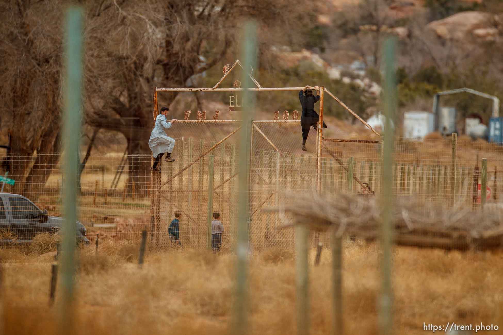 kids climbing gate to the zoo, Friday November 30, 2012.