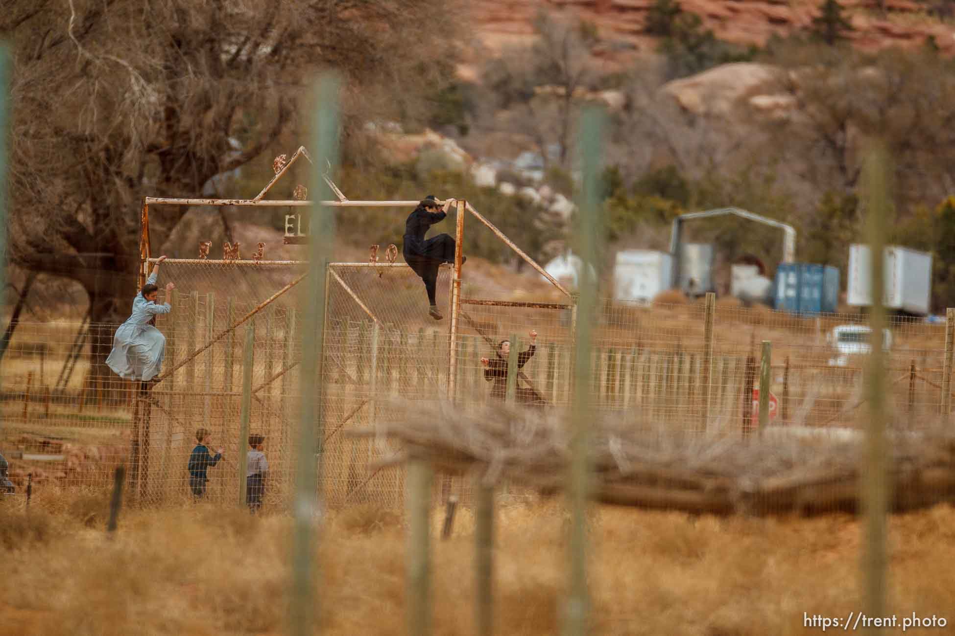 kids climbing gate to the zoo, Friday November 30, 2012.