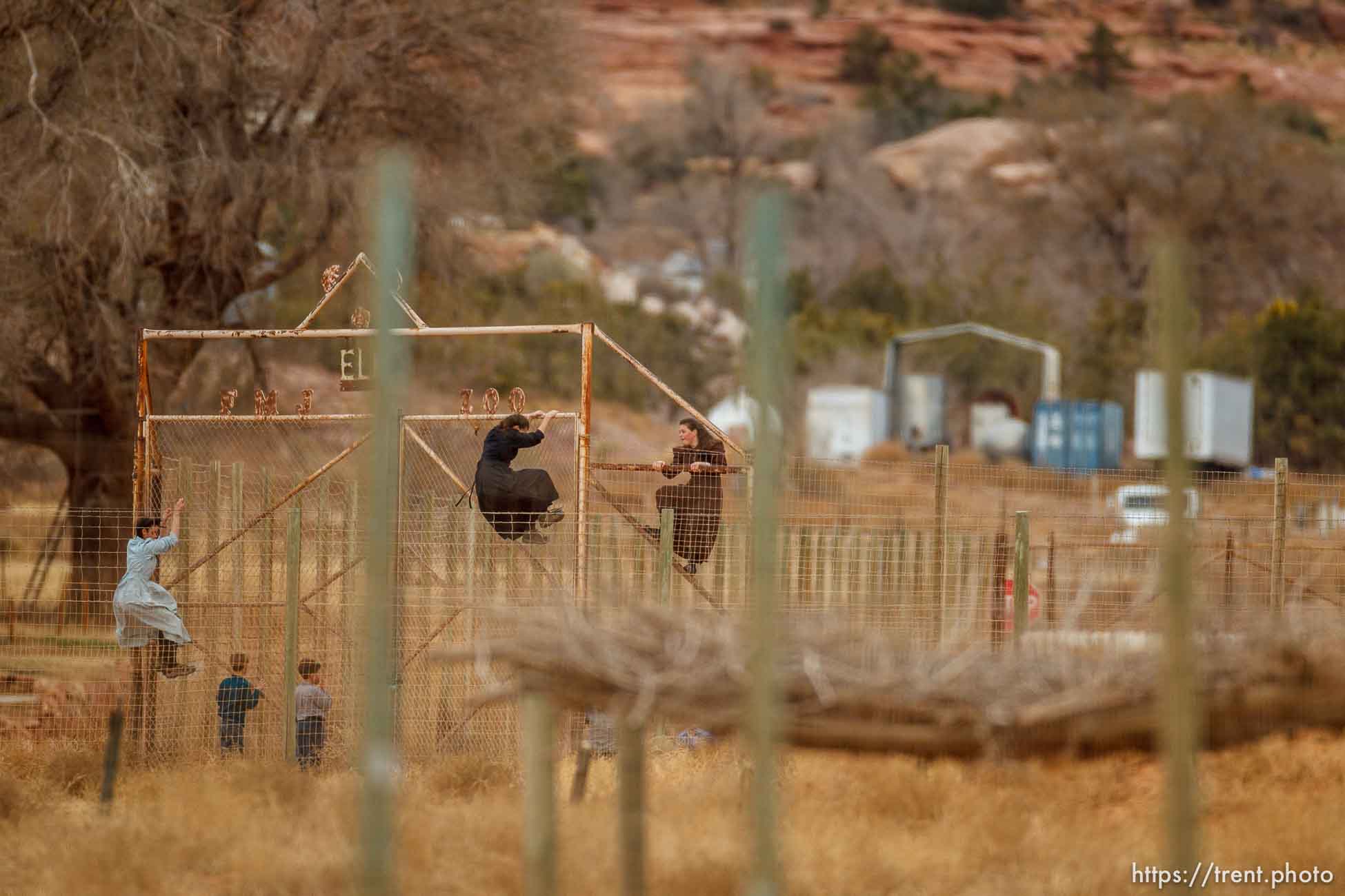 kids climbing gate to the zoo, Friday November 30, 2012.