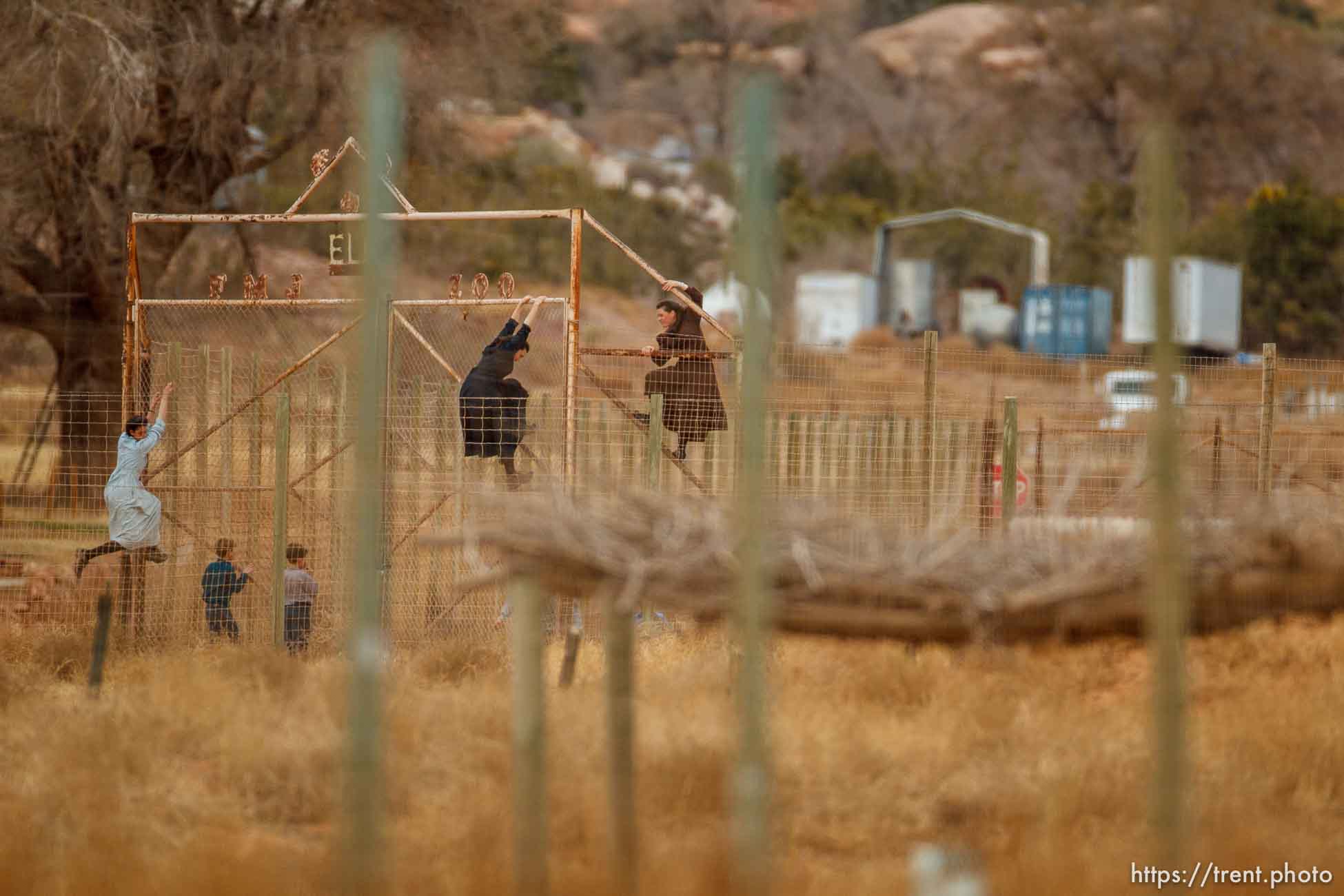 kids climbing gate to the zoo, Friday November 30, 2012.