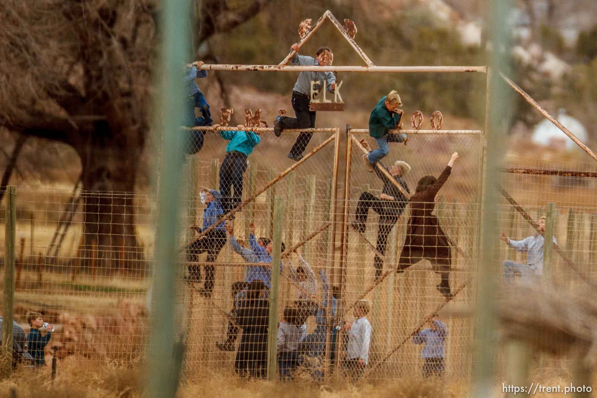 kids climbing gate to the zoo, Friday November 30, 2012.