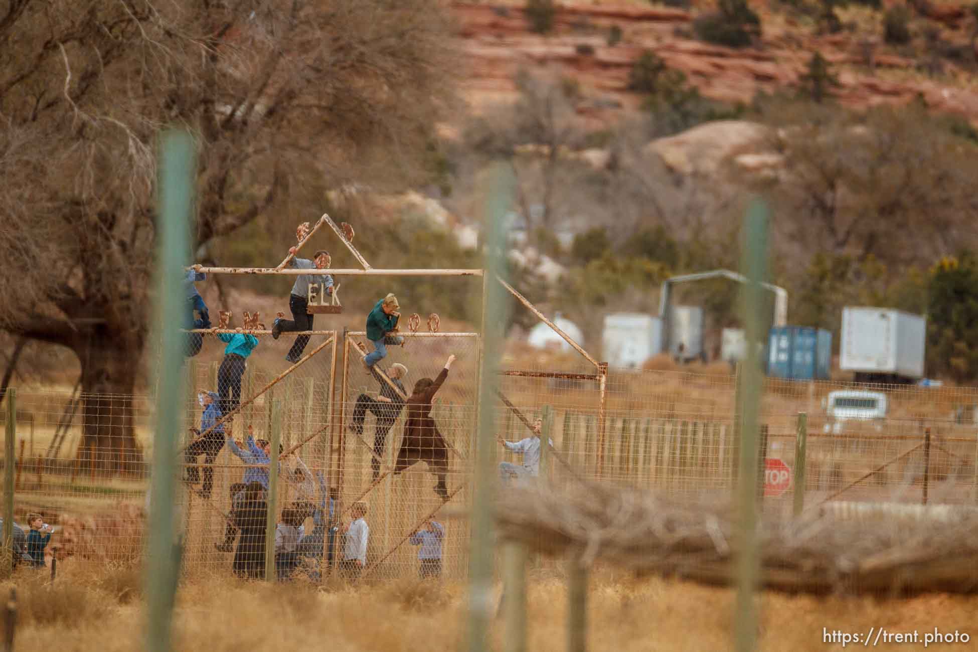 kids climbing gate to the zoo, Friday November 30, 2012.