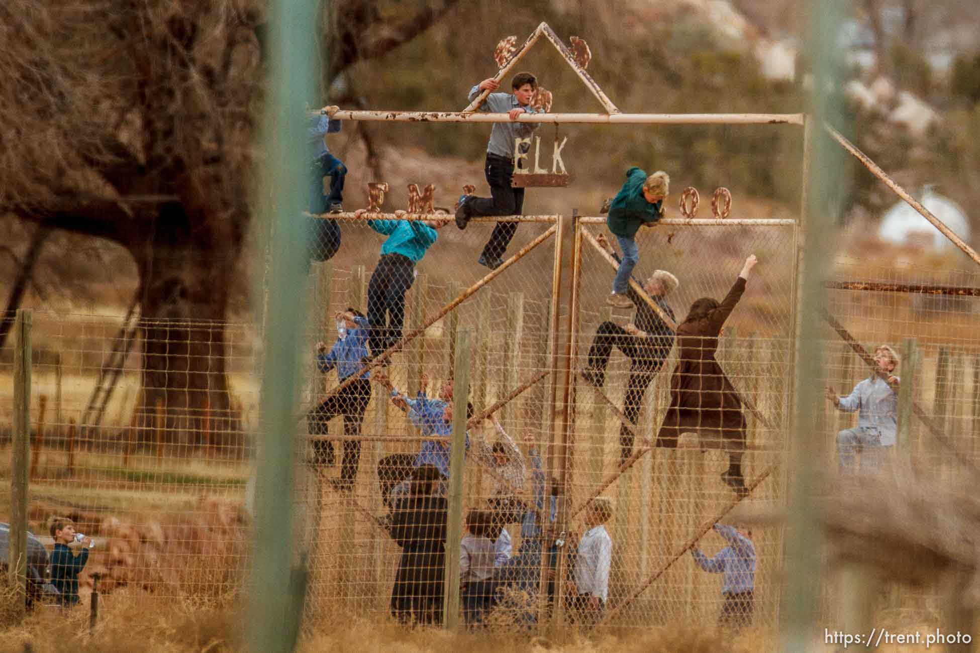 kids climbing gate to the zoo, Friday November 30, 2012.