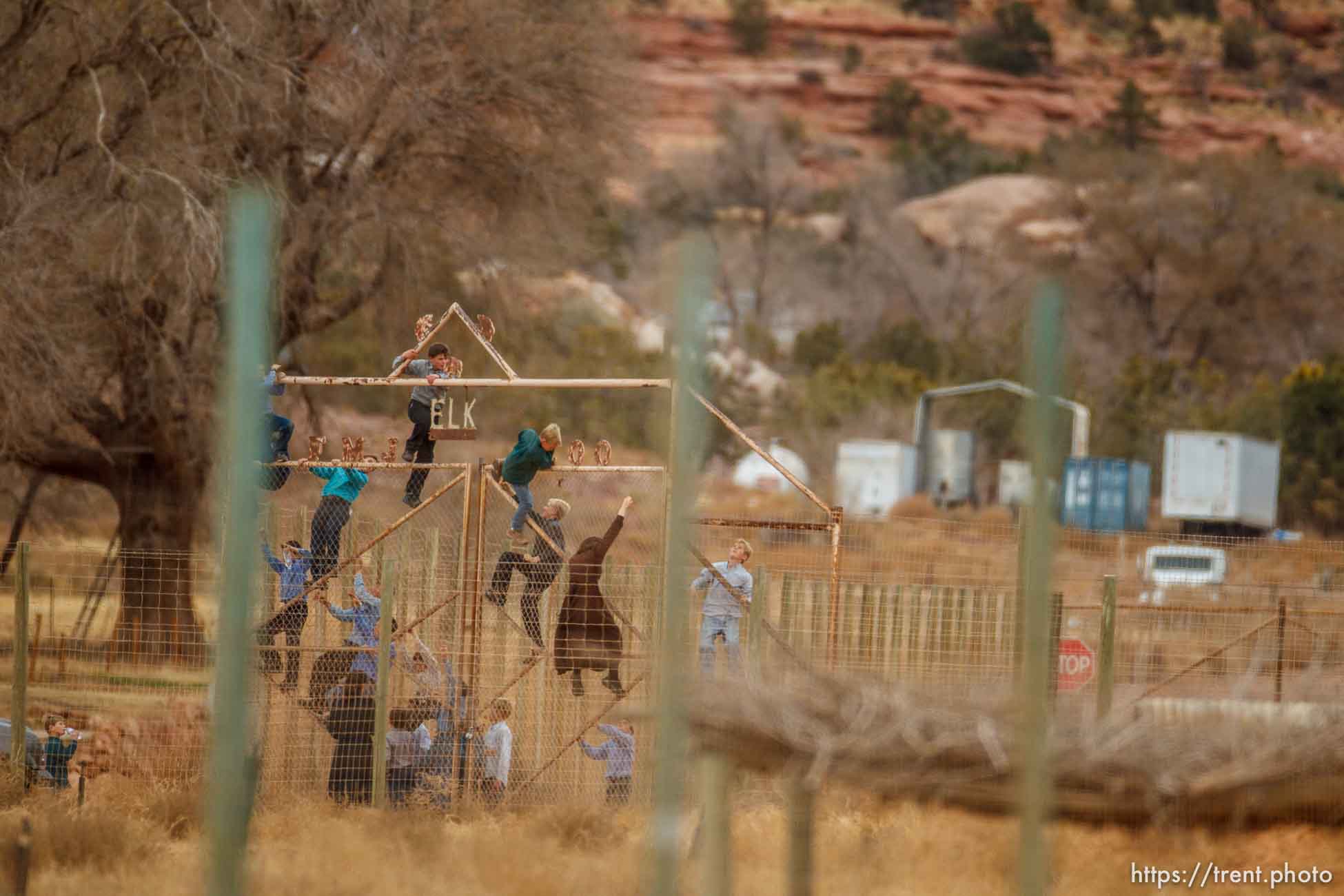 kids climbing gate to the zoo, Friday November 30, 2012.