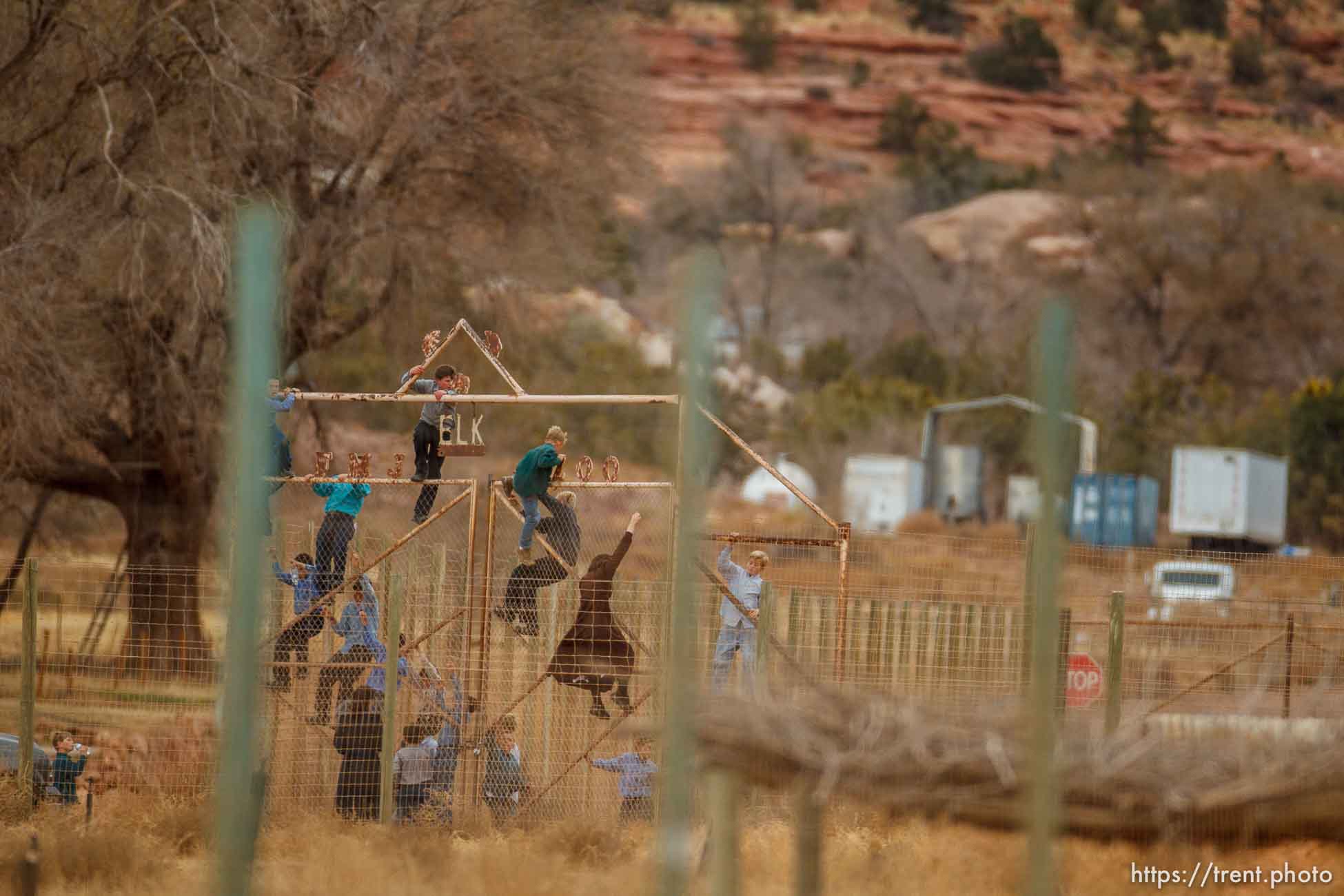 kids climbing gate to the zoo, Friday November 30, 2012.