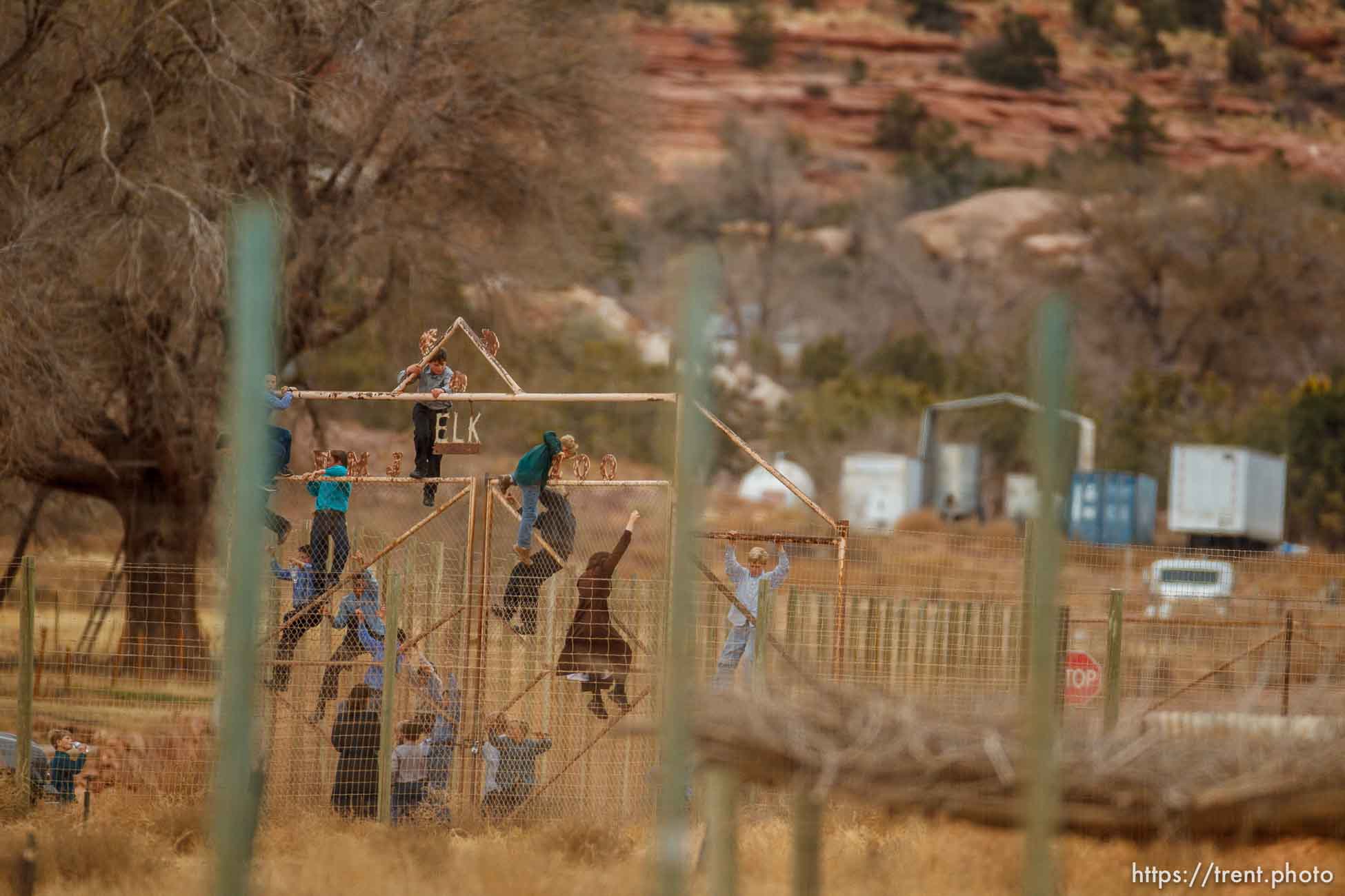 kids climbing gate to the zoo, Friday November 30, 2012.