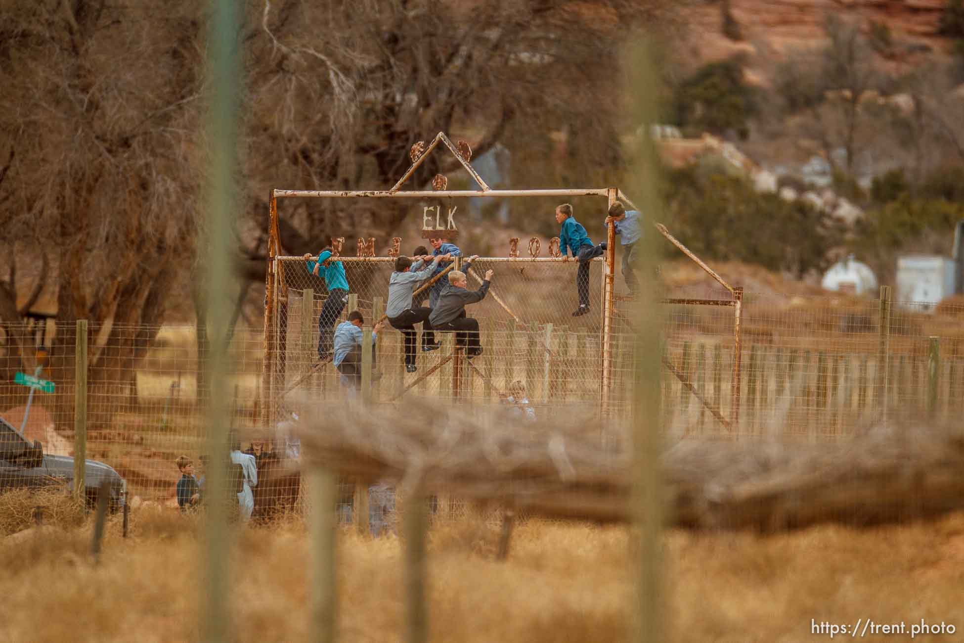 kids climbing gate to the zoo, Friday November 30, 2012.