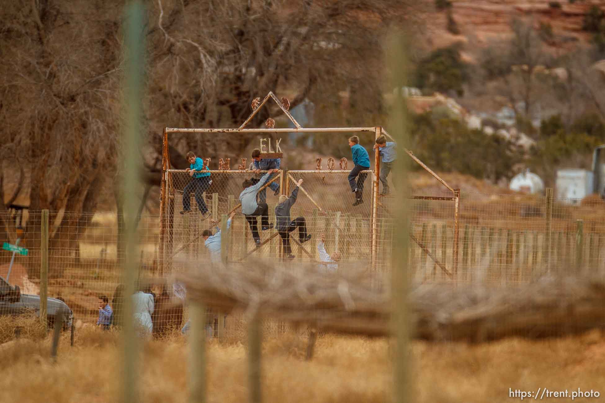 kids climbing gate to the zoo, Friday November 30, 2012.