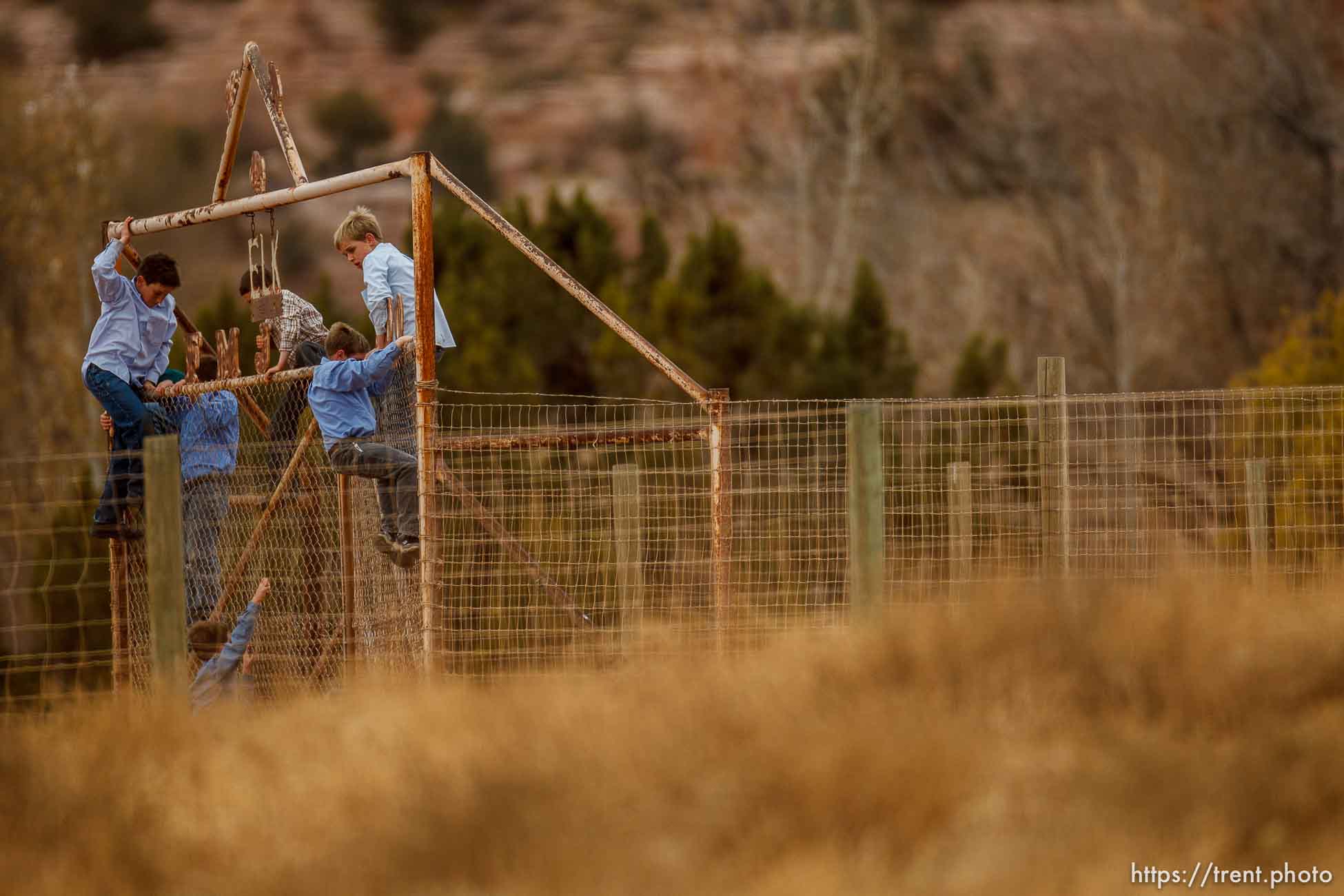 kids climbing gate to the zoo, Friday November 30, 2012.