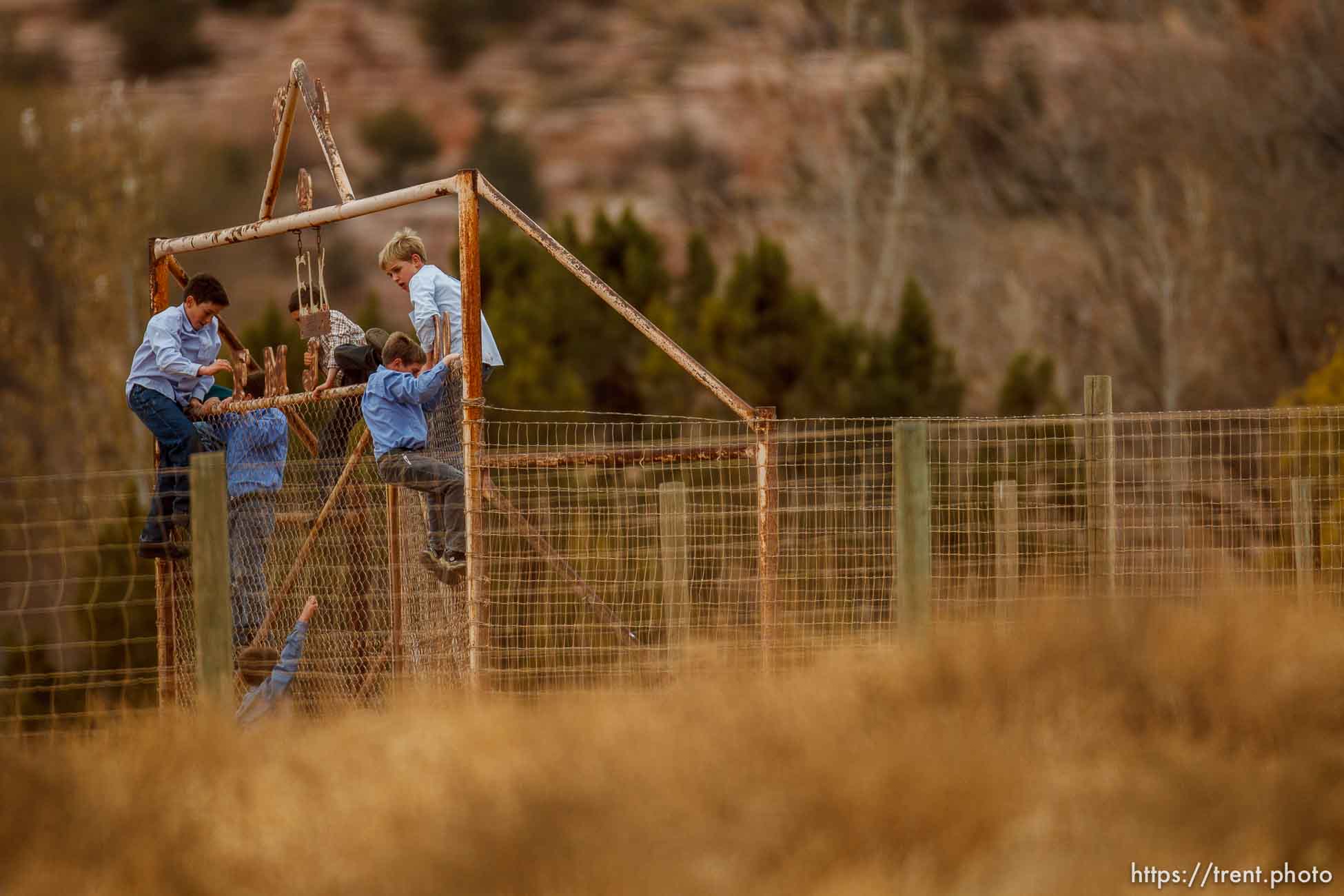 kids climbing gate to the zoo, Friday November 30, 2012.