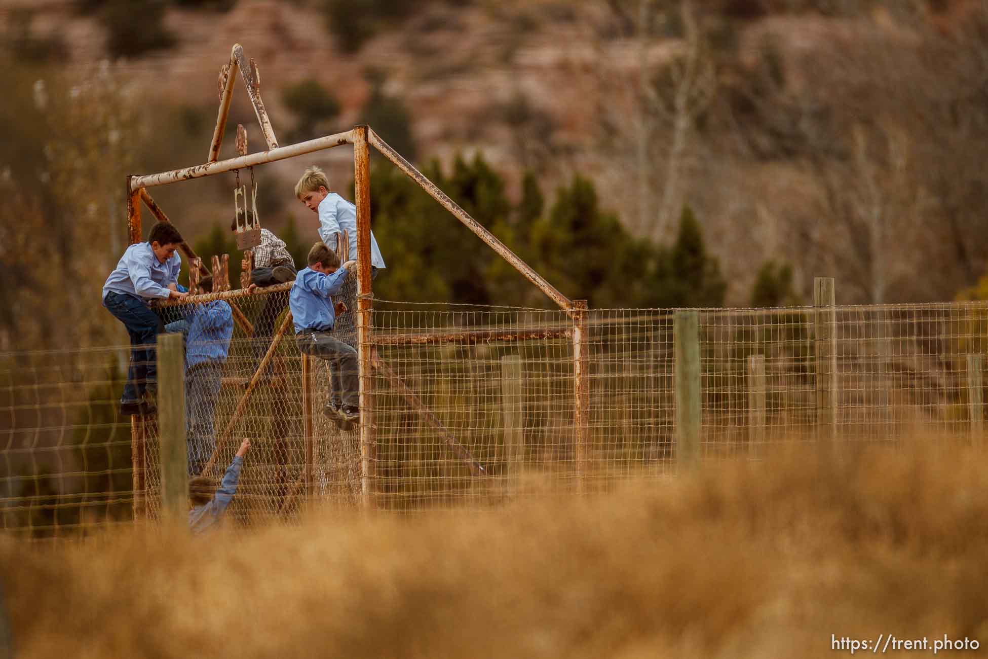 kids climbing gate to the zoo, Friday November 30, 2012.