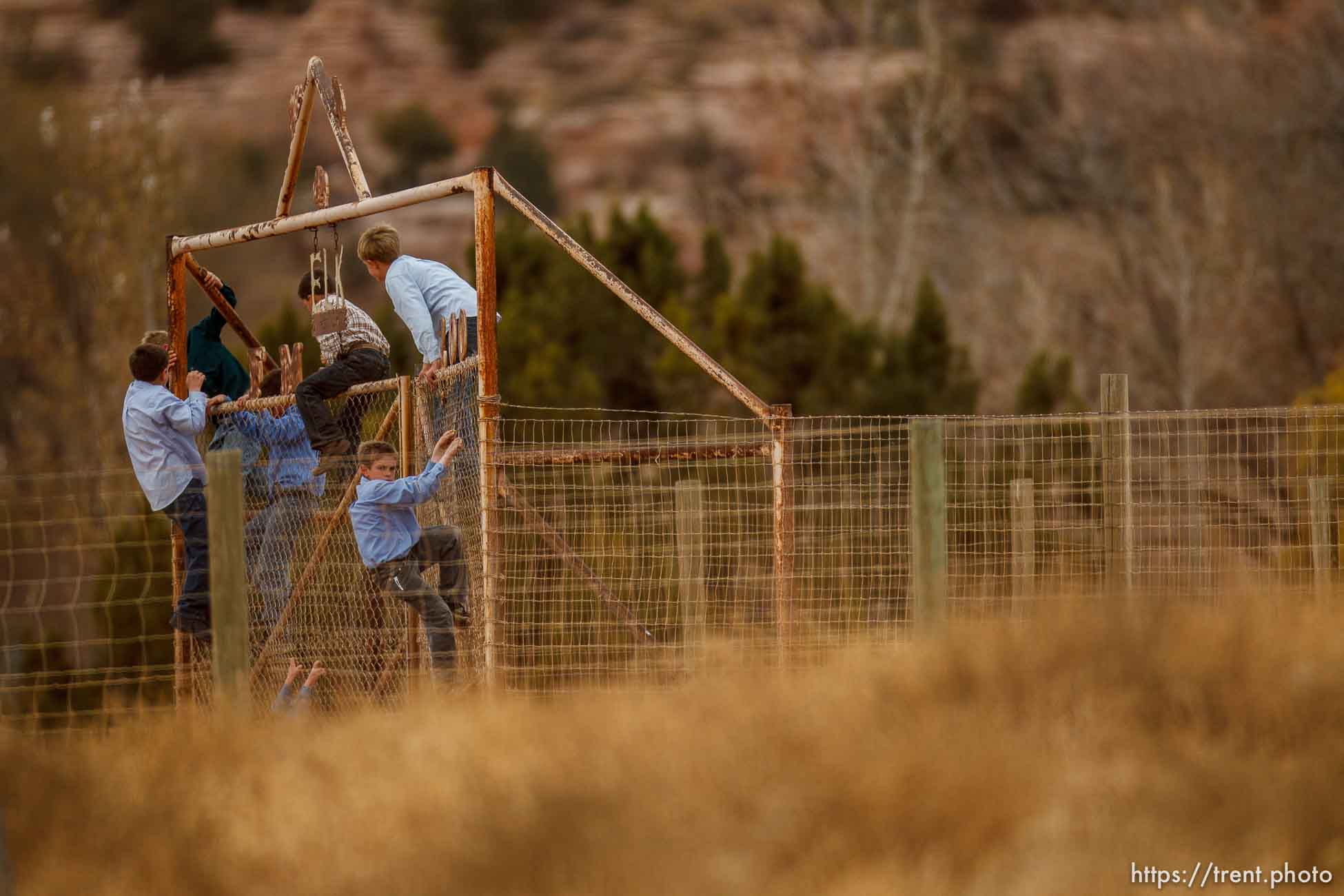 kids climbing gate to the zoo, Friday November 30, 2012.