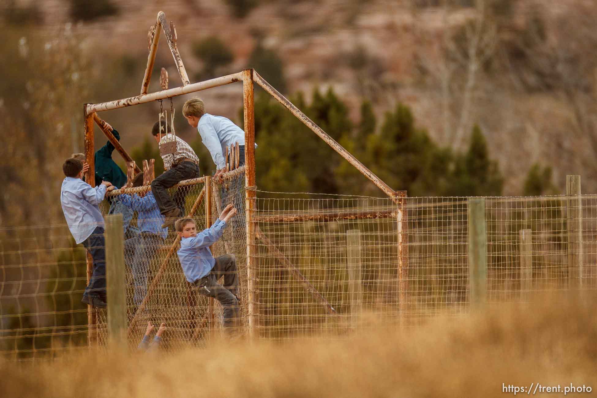 kids climbing gate to the zoo, Friday November 30, 2012.