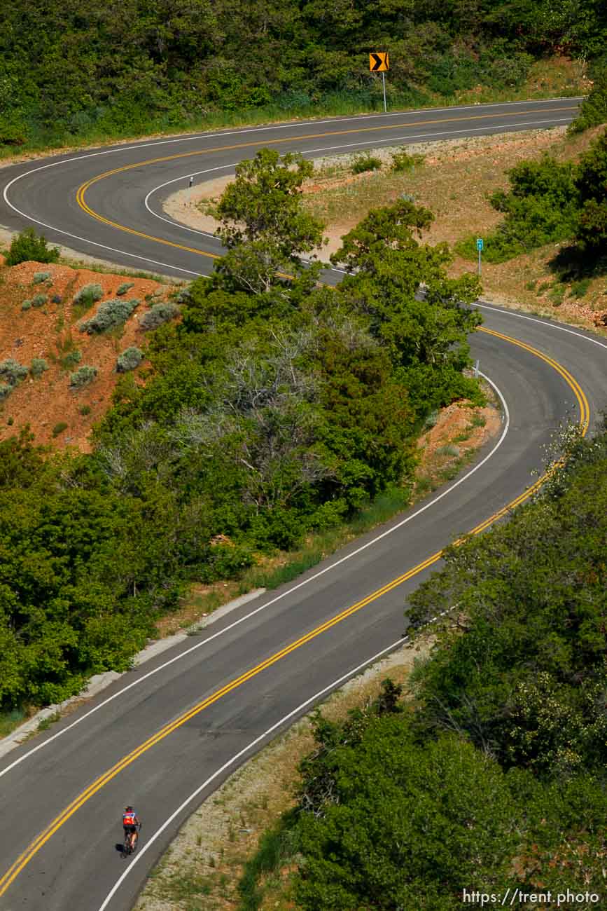 Trent Nelson  |  The Salt Lake Tribune
A cyclist climbs to the top of Big Mountain Pass Tuesday June 11, 2013 east of Salt Lake City.