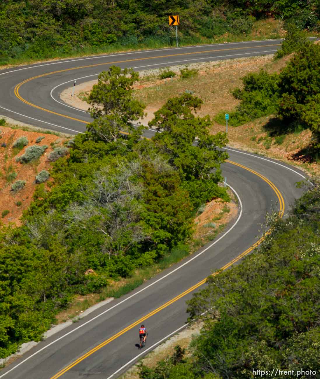 Trent Nelson  |  The Salt Lake Tribune
A cyclist climbs to the top of Big Mountain Pass Tuesday June 11, 2013 east of Salt Lake City.