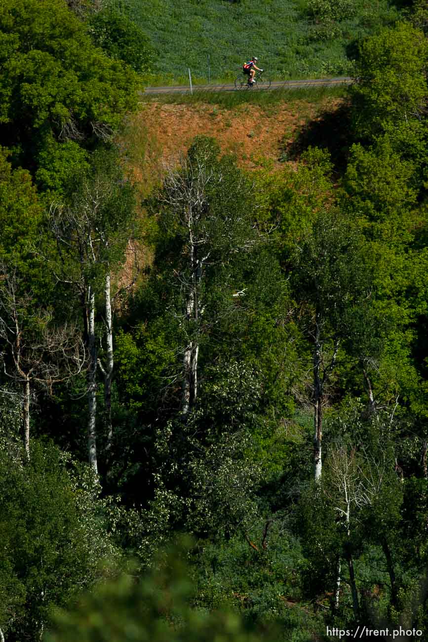 Trent Nelson  |  The Salt Lake Tribune
A cyclist climbs to the top of Big Mountain Pass Tuesday June 11, 2013 east of Salt Lake City.