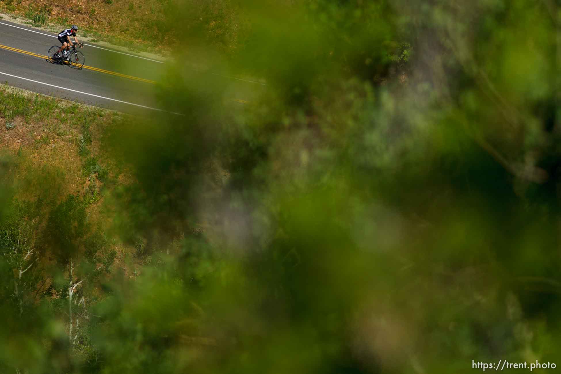 Trent Nelson  |  The Salt Lake Tribune
A cyclist rides down from the top of Big Mountain Pass Tuesday June 11, 2013 east of Salt Lake City.