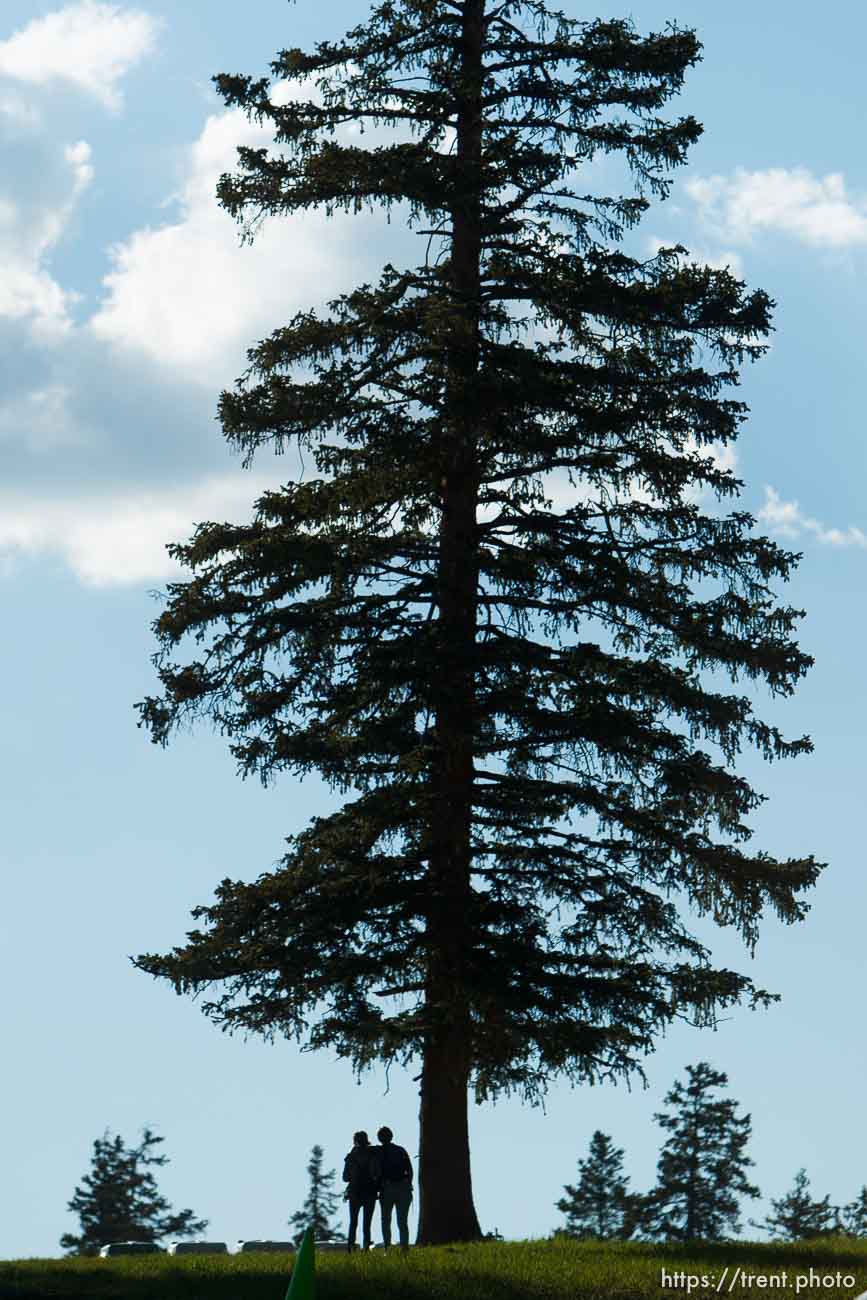 Trent Nelson  |  The Salt Lake Tribune
A couple walks under a large pine at the Roots of the Rocks music festival at the Eagle Point Ski Resort Saturday, June 15, 2013 east of Beaver.