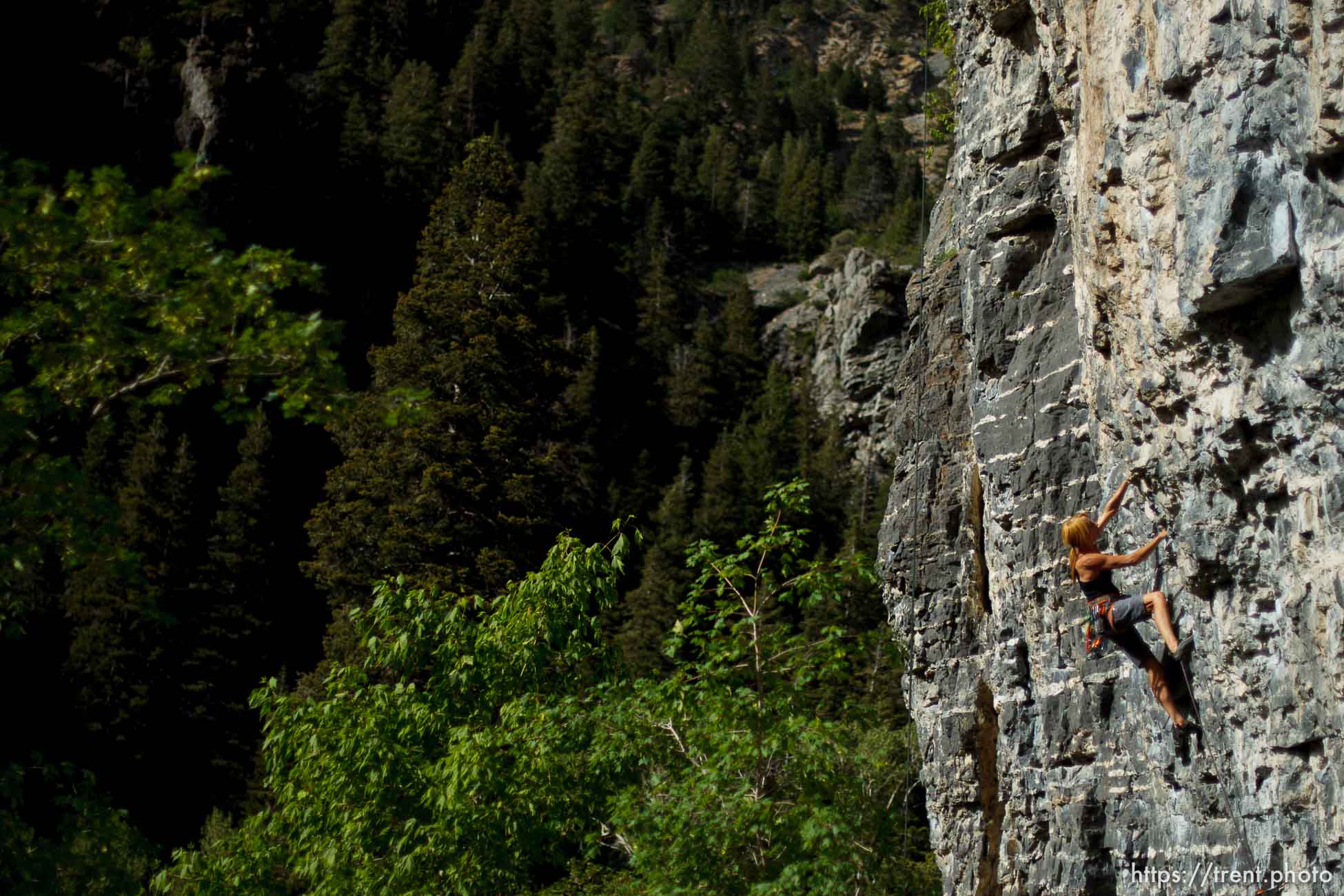 Trent Nelson  |  The Salt Lake Tribune
Mindy Shulak climbs the Division Wall, Wednesday June 19, 2013 in American Fork Canyon.