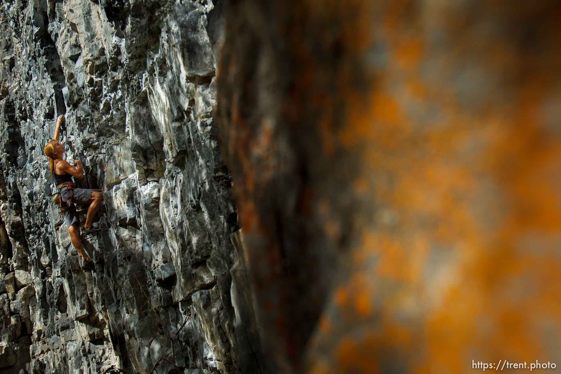 Trent Nelson  |  The Salt Lake Tribune
Mindy Shulak climbs the Division Wall, Wednesday June 19, 2013 in American Fork Canyon.