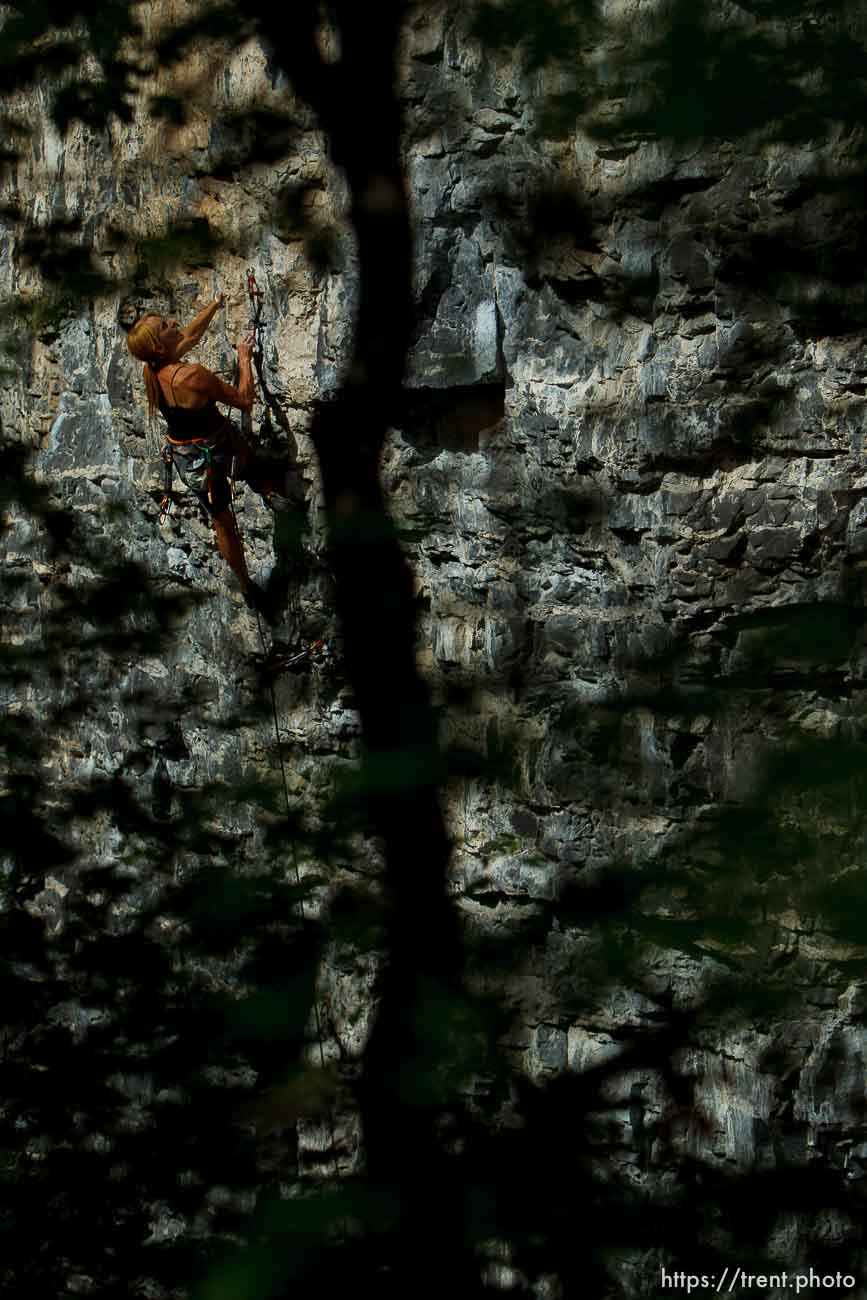 Trent Nelson  |  The Salt Lake Tribune
Mindy Shulak climbs the Division Wall, Wednesday June 19, 2013 in American Fork Canyon.