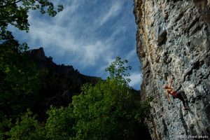 Trent Nelson  |  The Salt Lake Tribune
Gordon Douglass climbs the Division Wall, Wednesday June 19, 2013 in American Fork Canyon.