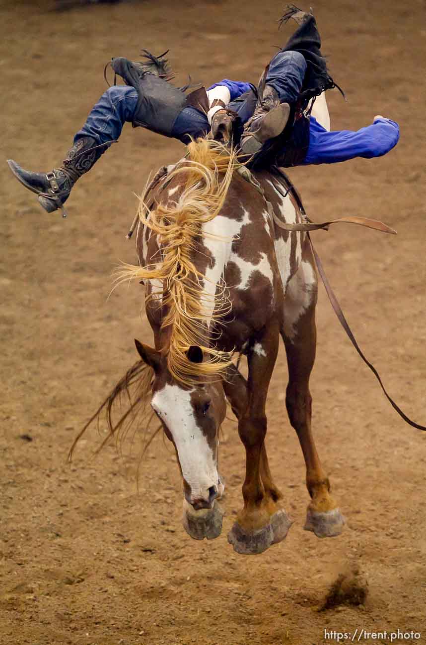 Trent Nelson  |  The Salt Lake Tribune
Jessy Davis competing in Championship Bareback Riding at the Days of '47 Rodeo at EnergySolutions Arena in Salt Lake City Saturday July 20, 2013.