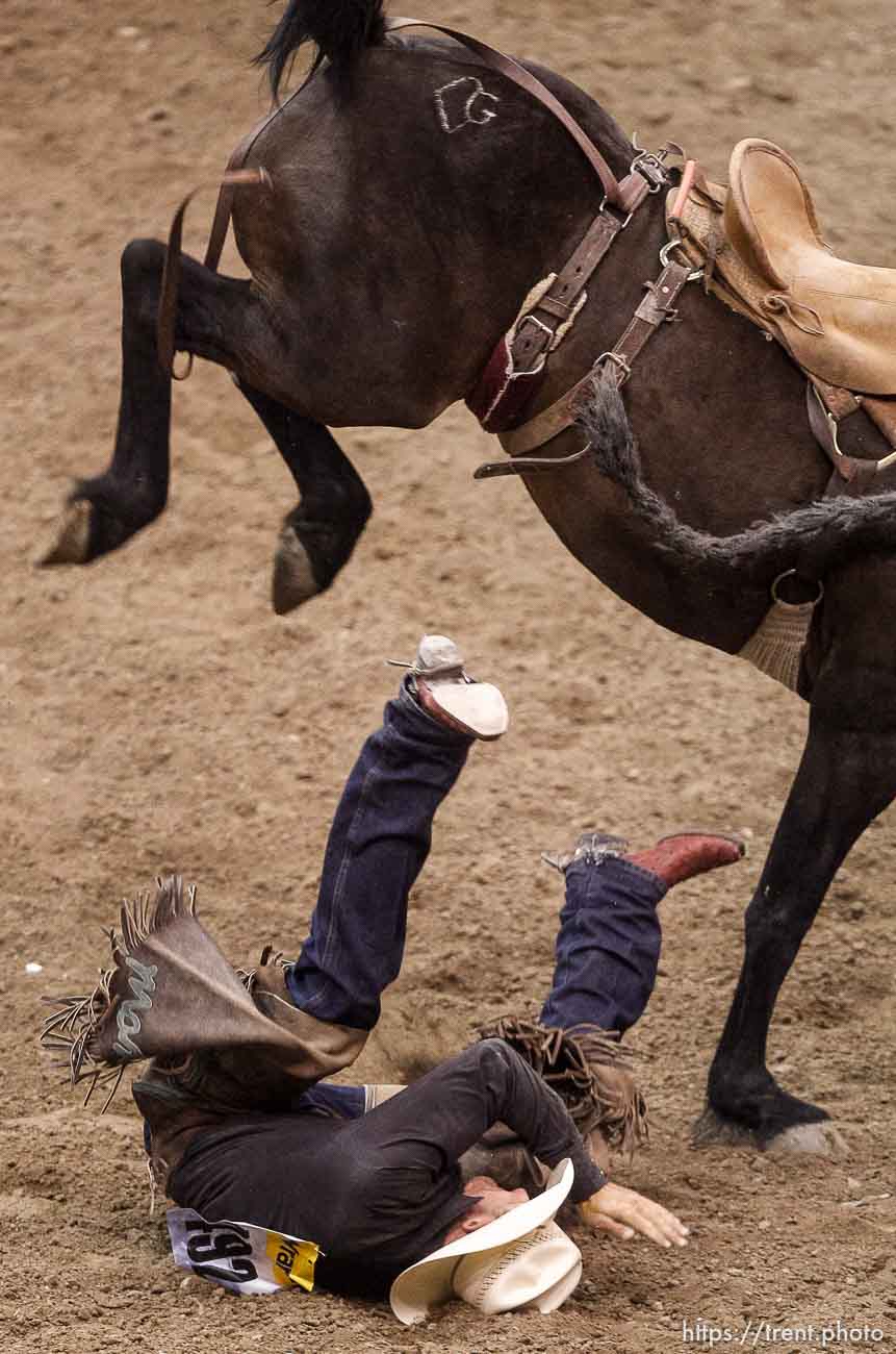 Trent Nelson  |  The Salt Lake Tribune
Max Filippini hits the ground competing in Saddlebronc Riding at the Days of '47 Rodeo at EnergySolutions Arena in Salt Lake City Saturday July 20, 2013.