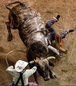 Trent Nelson  |  The Salt Lake Tribune
Brennon Eldred loses control in the Bull Riding competition at the Days of '47 Rodeo at EnergySolutions Arena in Salt Lake City Saturday July 20, 2013.