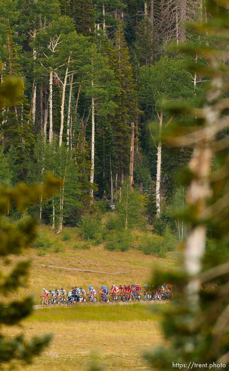 Trent Nelson  |  The Salt Lake Tribune
Riders on SR-14 during stage one of the Tour of Utah at Brian Head Tuesday August 6, 2013.