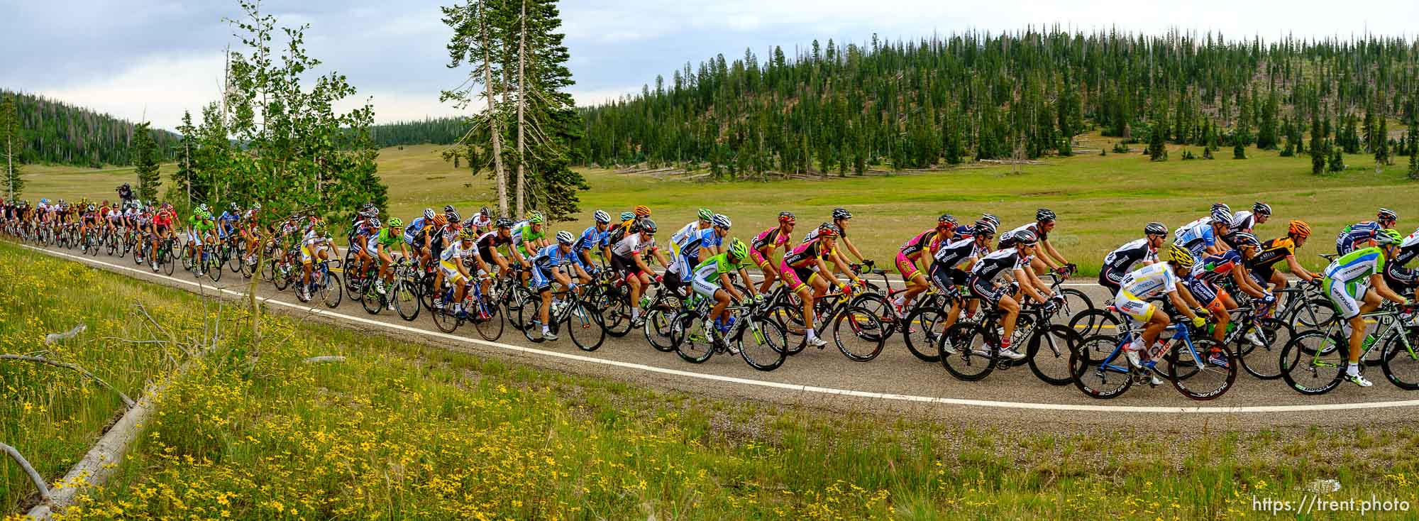 Trent Nelson  |  The Salt Lake Tribune
Riders on SR-14 during stage one of the Tour of Utah at Brian Head Tuesday August 6, 2013.