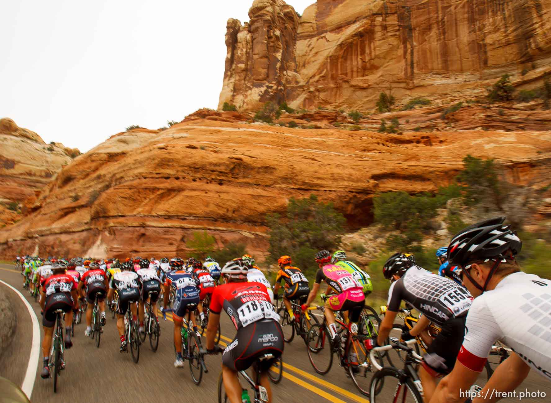 Trent Nelson  |  The Salt Lake Tribune
The peloton races toward Boulder during stage two of the Tour of Utah Wednesday August 7, 2013.