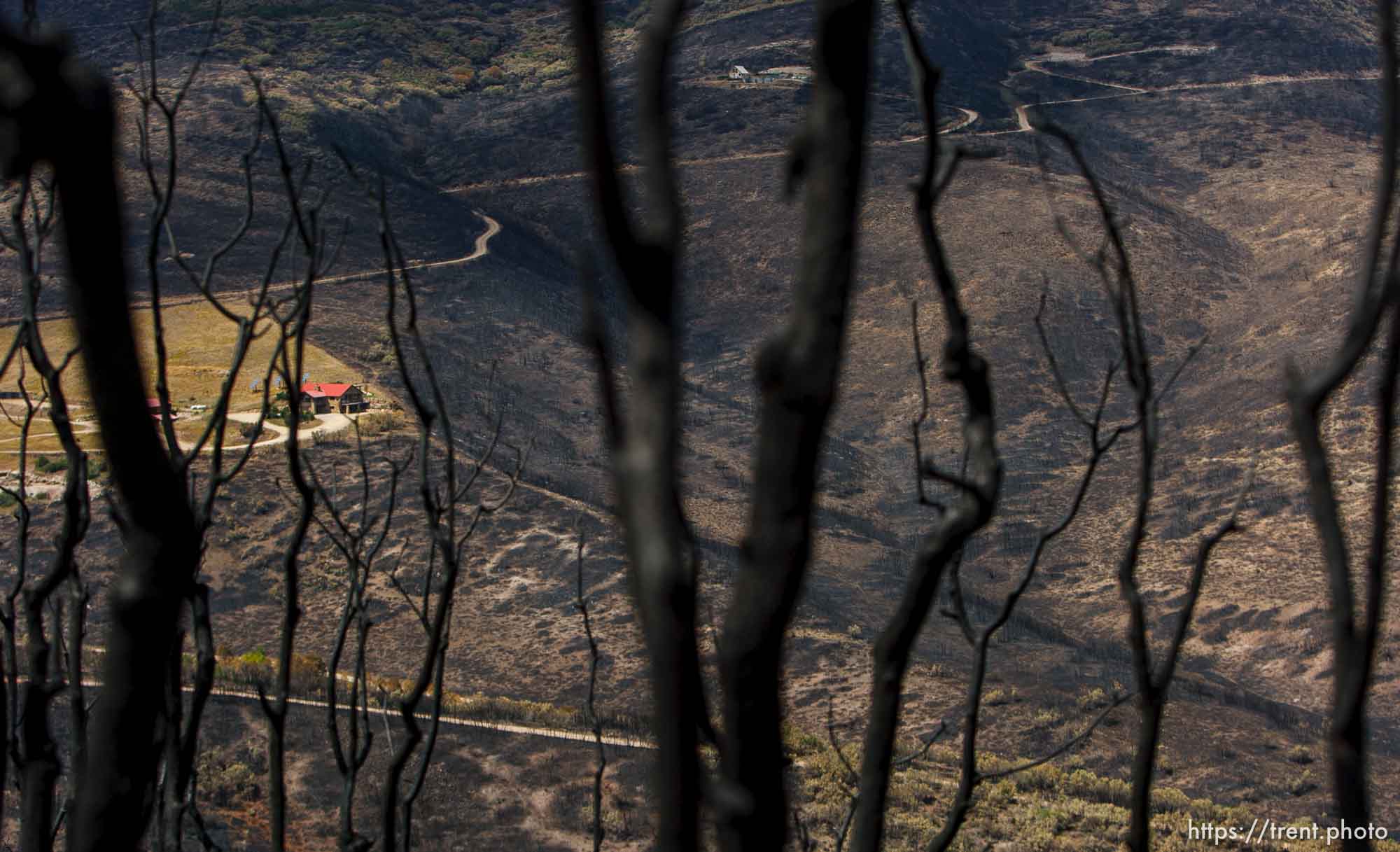 Trent Nelson  |  The Salt Lake Tribune
A home spared from the fire in the Lake Rockport Estates, Thursday August 22, 2013. A Utah program requires new construction to reduce brush and trees around houses. This fuels mitigation strategy creates a defensible space so that wildfires have a decreased chance of burning structures.