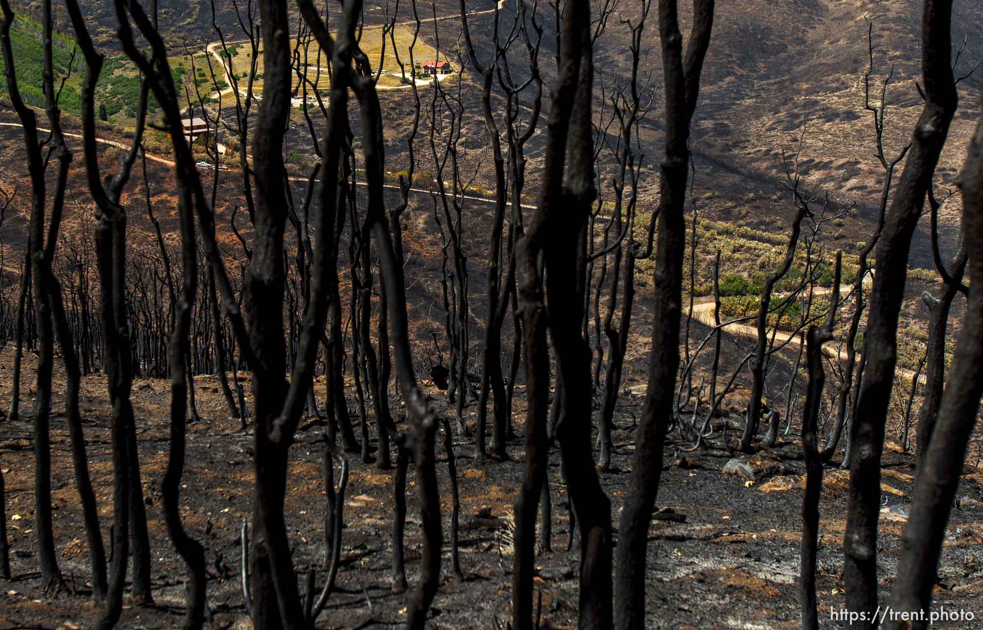 Trent Nelson  |  The Salt Lake Tribune
A home spared from the fire in the Lake Rockport Estates, Thursday August 22, 2013. A Utah program requires new construction to reduce brush and trees around houses. This fuels mitigation strategy creates a defensible space so that wildfires have a decreased chance of burning structures.