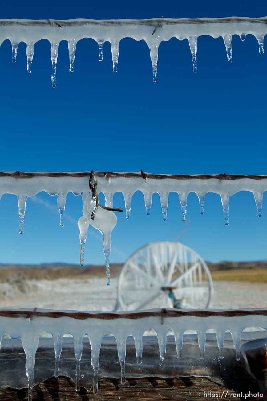 Trent Nelson  |  The Salt Lake Tribune
Ice forms as fields are irrigated near Loa, Sunday, October 6, 2013.