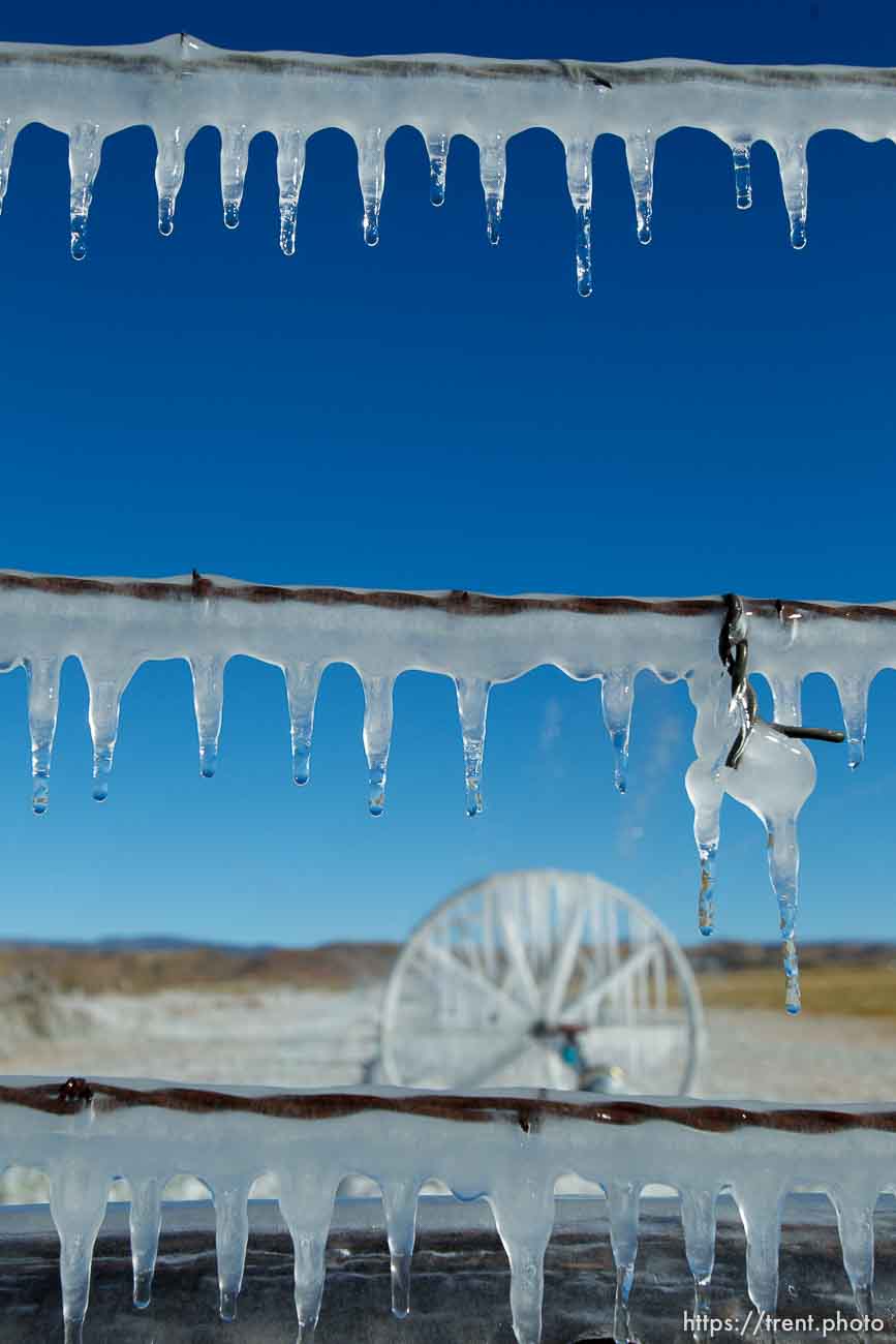 ice forms as a field is irrigated near Loa Sunday, October 6, 2013.