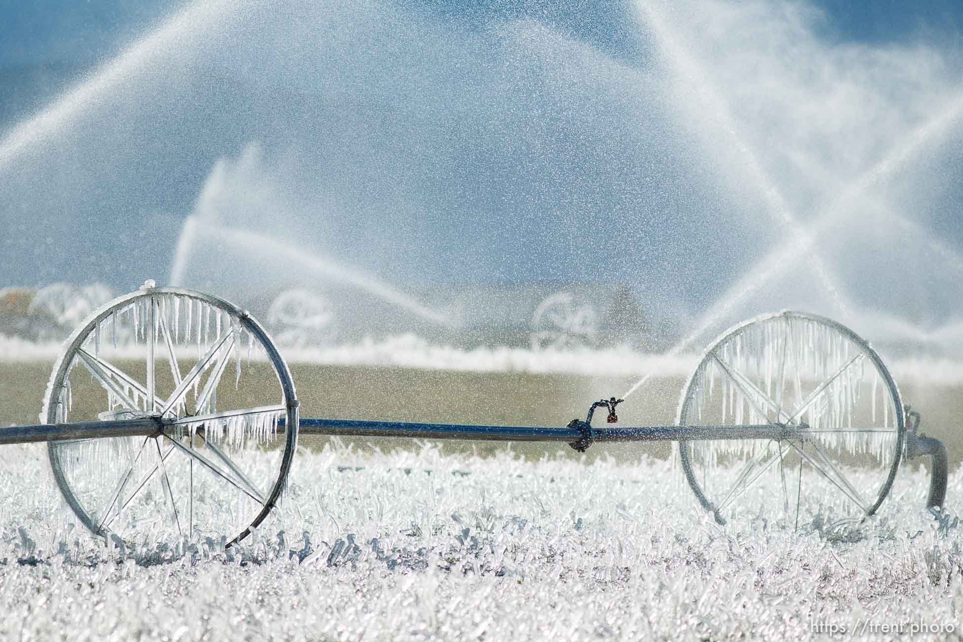 ice forms as a field is irrigated near Loa Sunday, October 6, 2013.