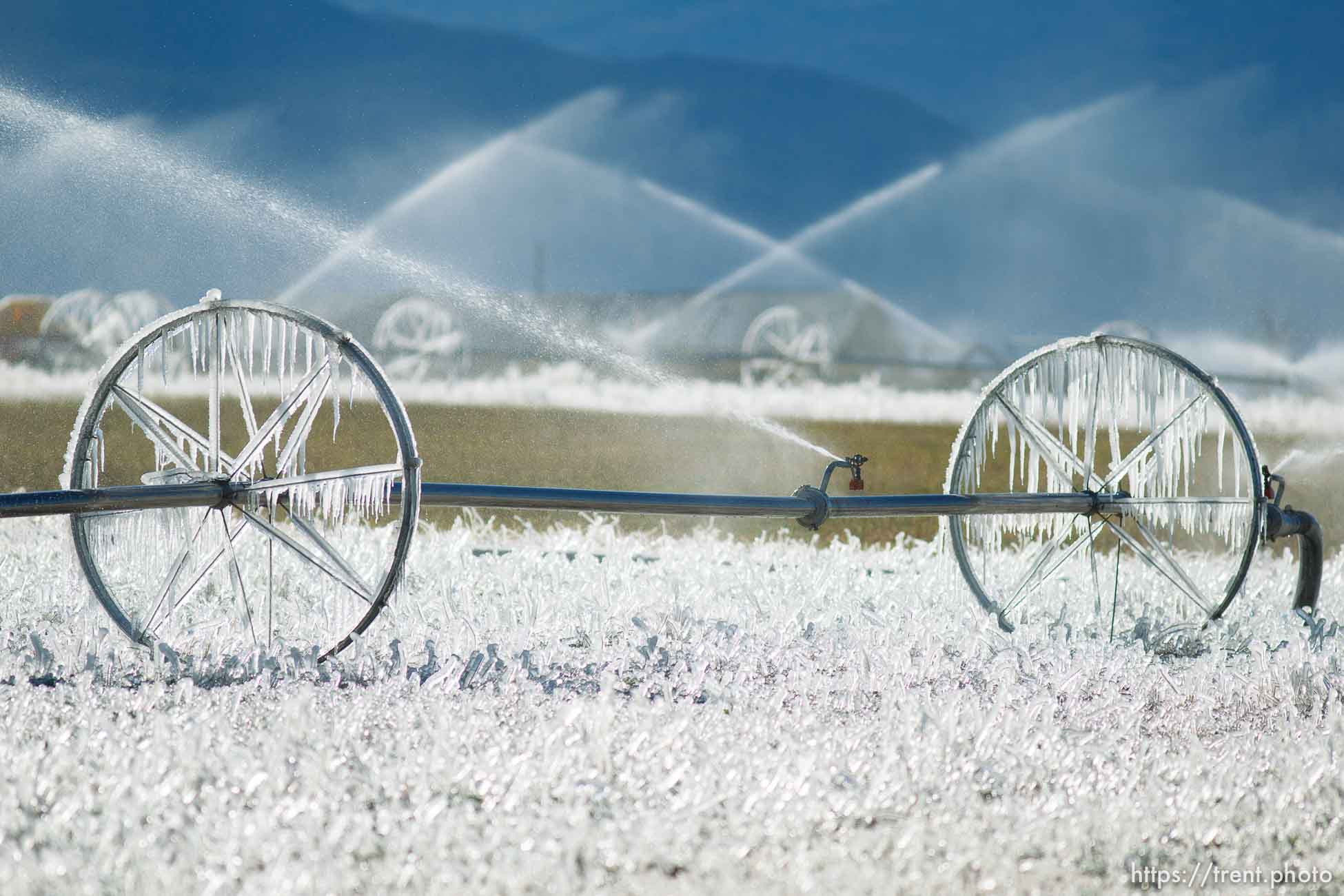 ice forms as a field is irrigated near Loa Sunday, October 6, 2013.